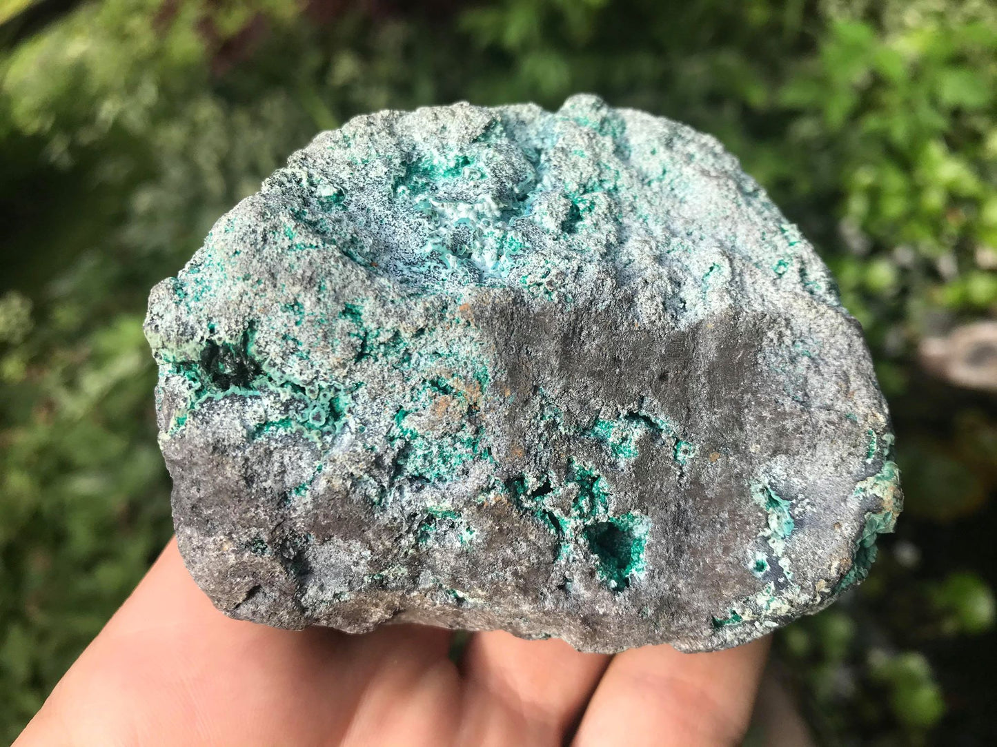 Chrysocolla Specimen - Gem Realm 