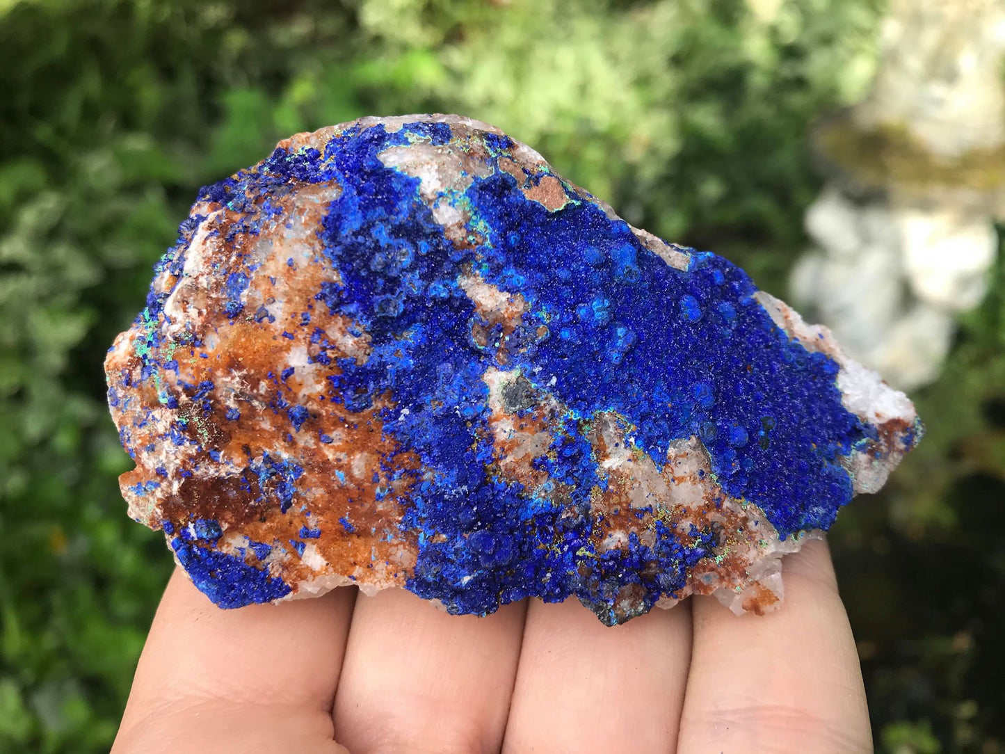 Azurite Specimen - Gem Realm 