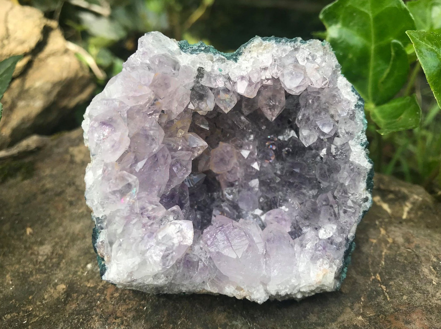 Amethyst Geode ~ Uruguay - Gem Realm 