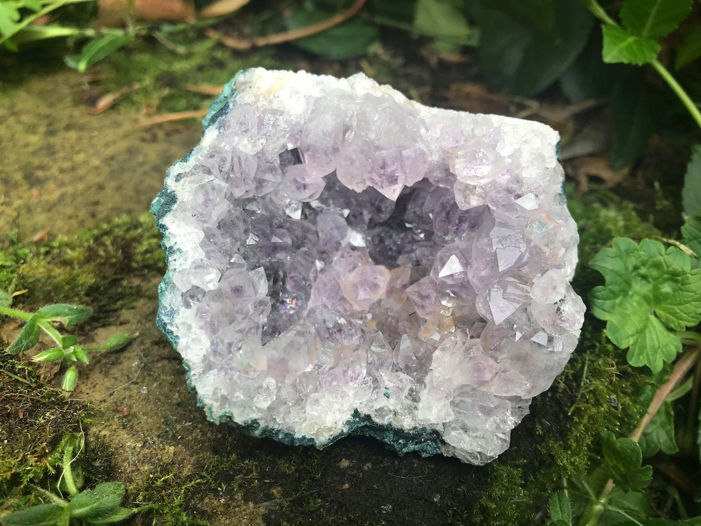 Amethyst Geode ~ Uruguay - Gem Realm 