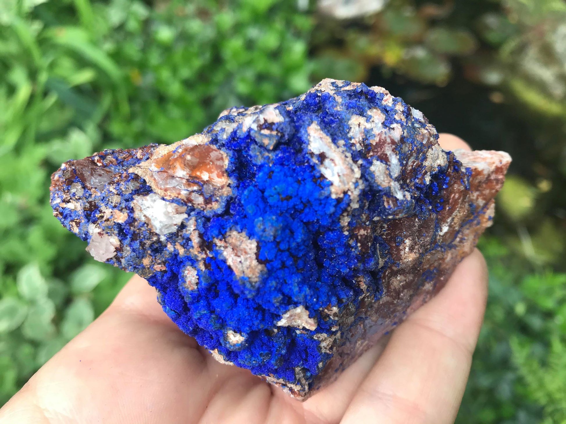 Azurite Specimen - Gem Realm 