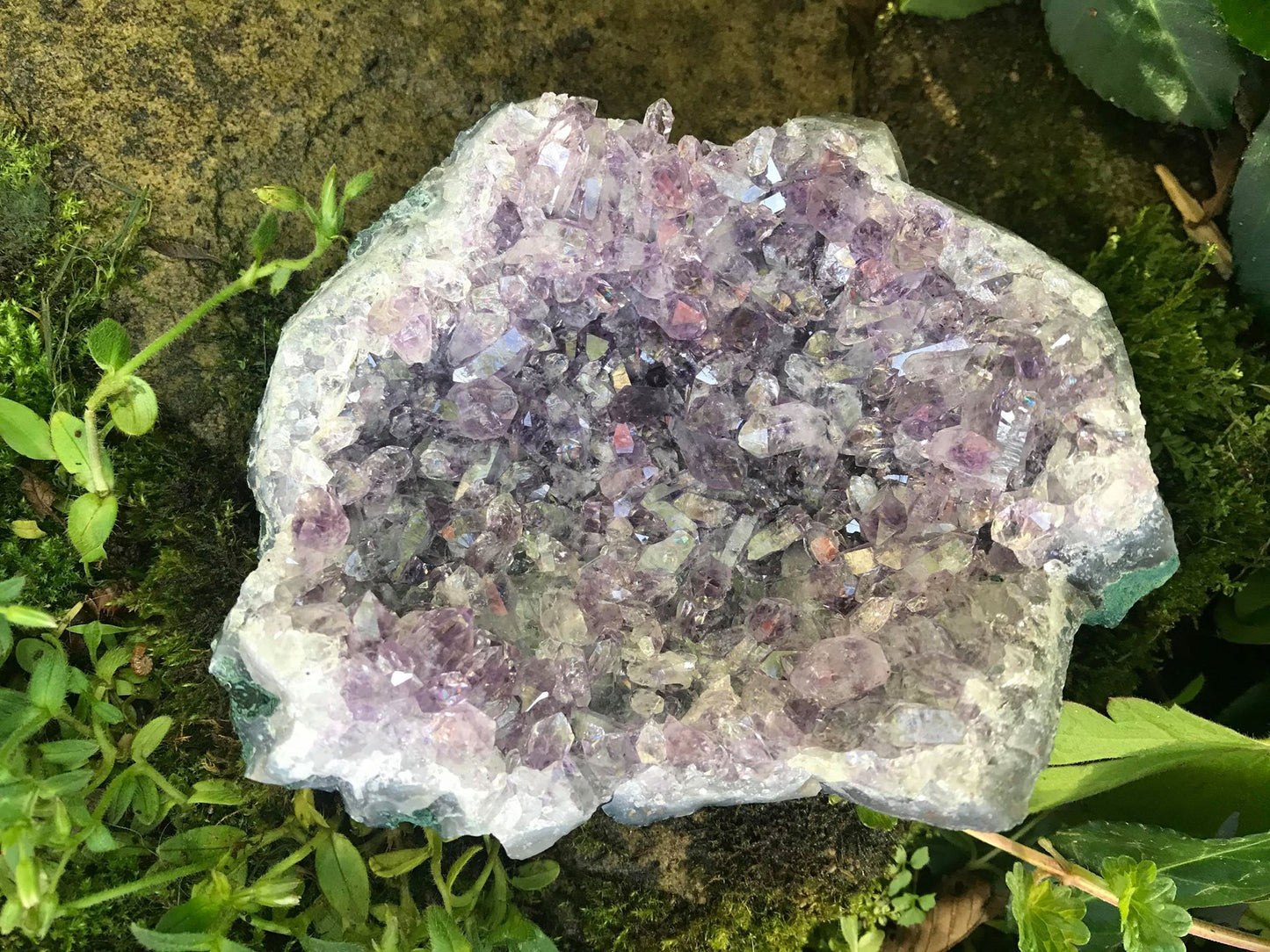 Amethyst Geode Specimen ~ Uruguay - Gem Realm 