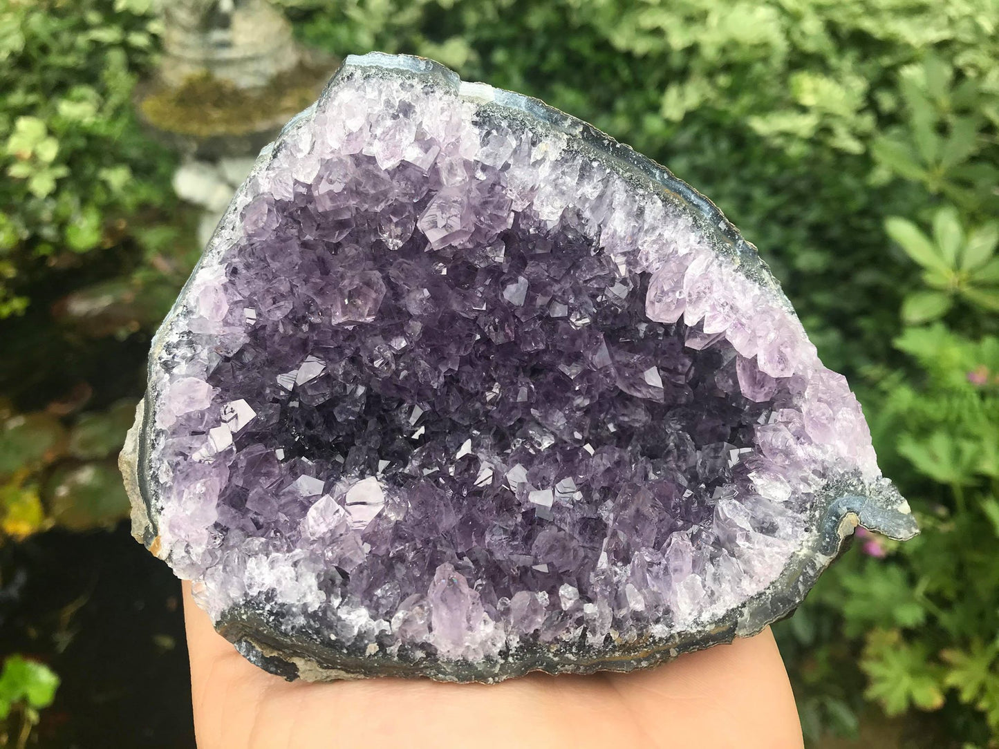 Amethyst Geode ~ Uruguay - Gem Realm 