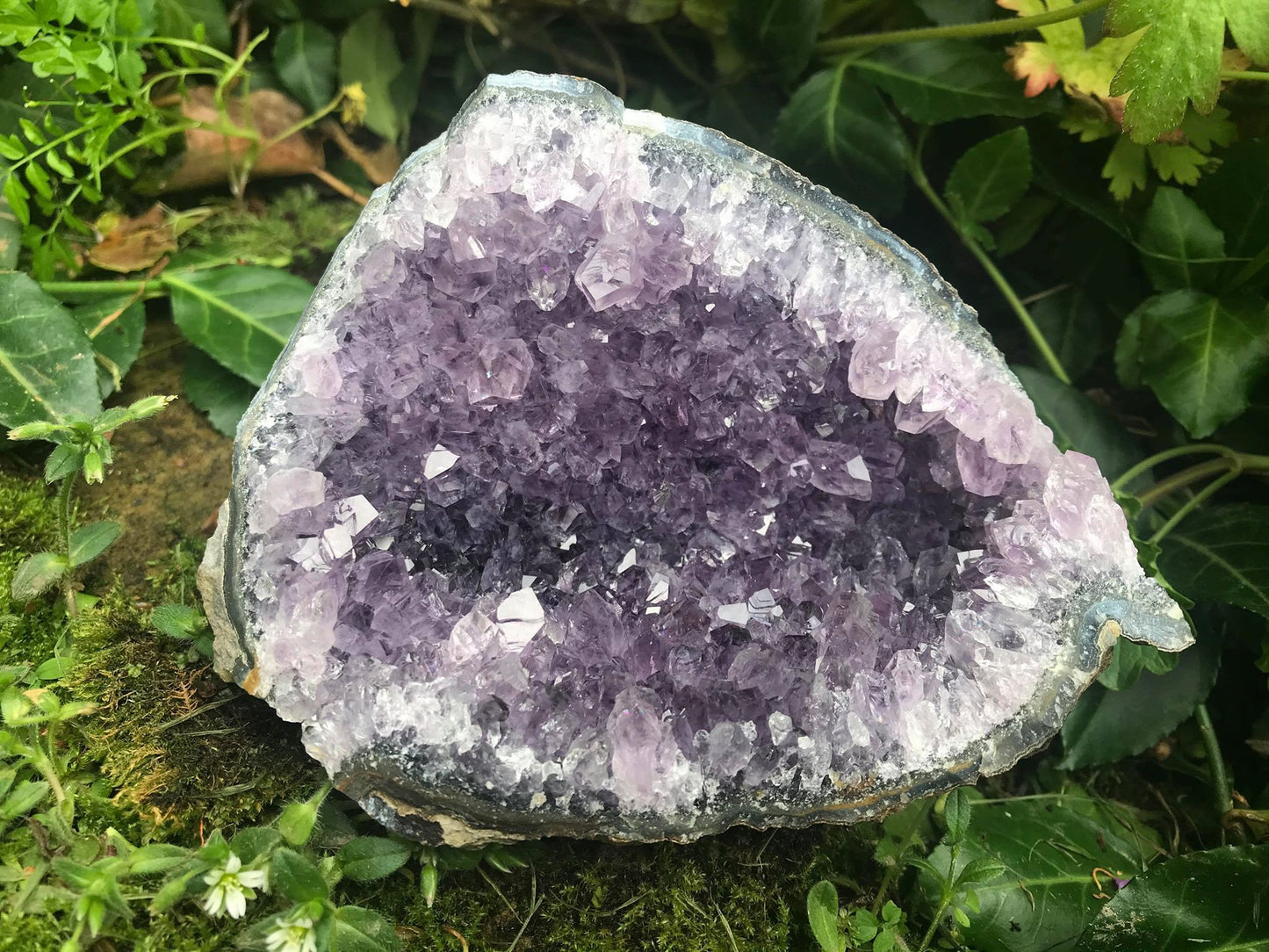 Amethyst Geode ~ Uruguay - Gem Realm 