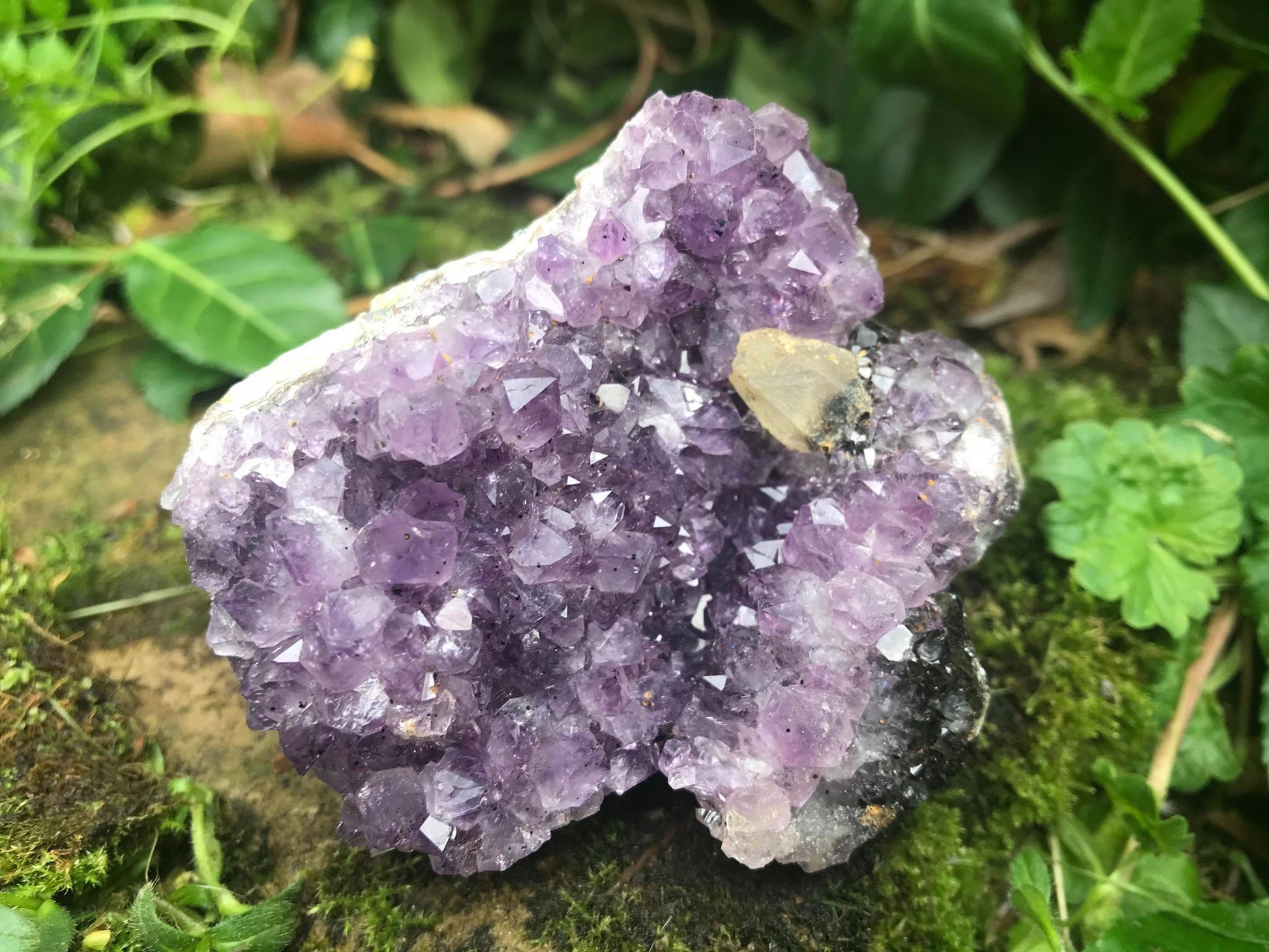 Amethyst with Calcite Specimen ~ Uruguay - Gem Realm 
