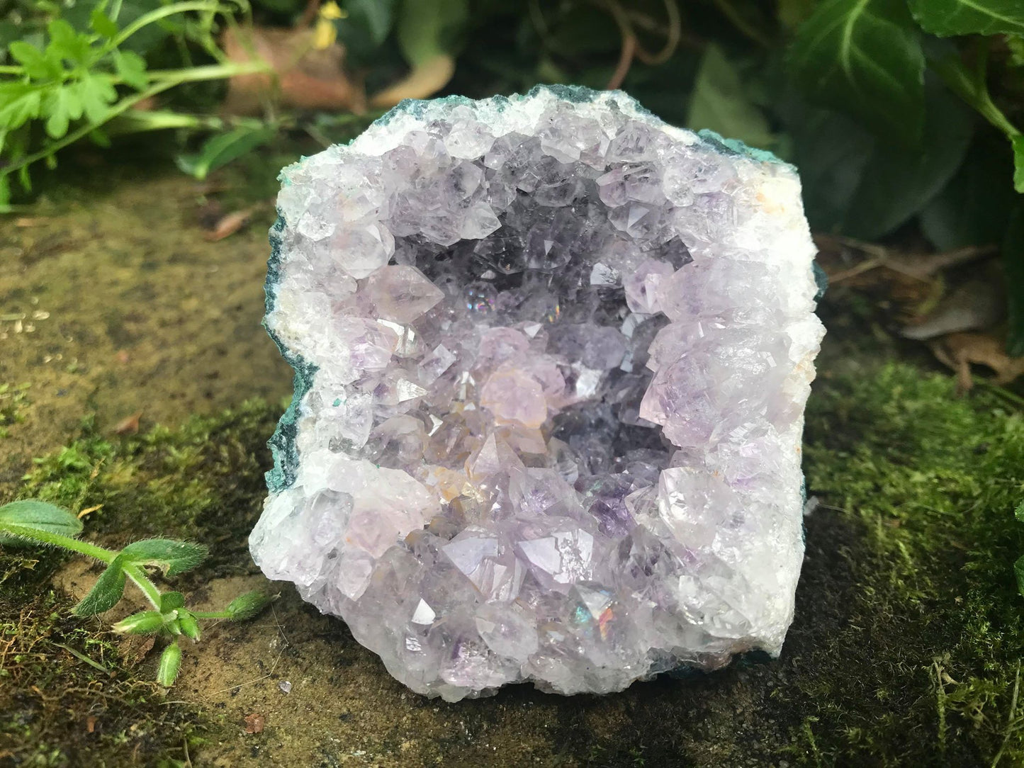 Amethyst Geode ~ Uruguay - Gem Realm 