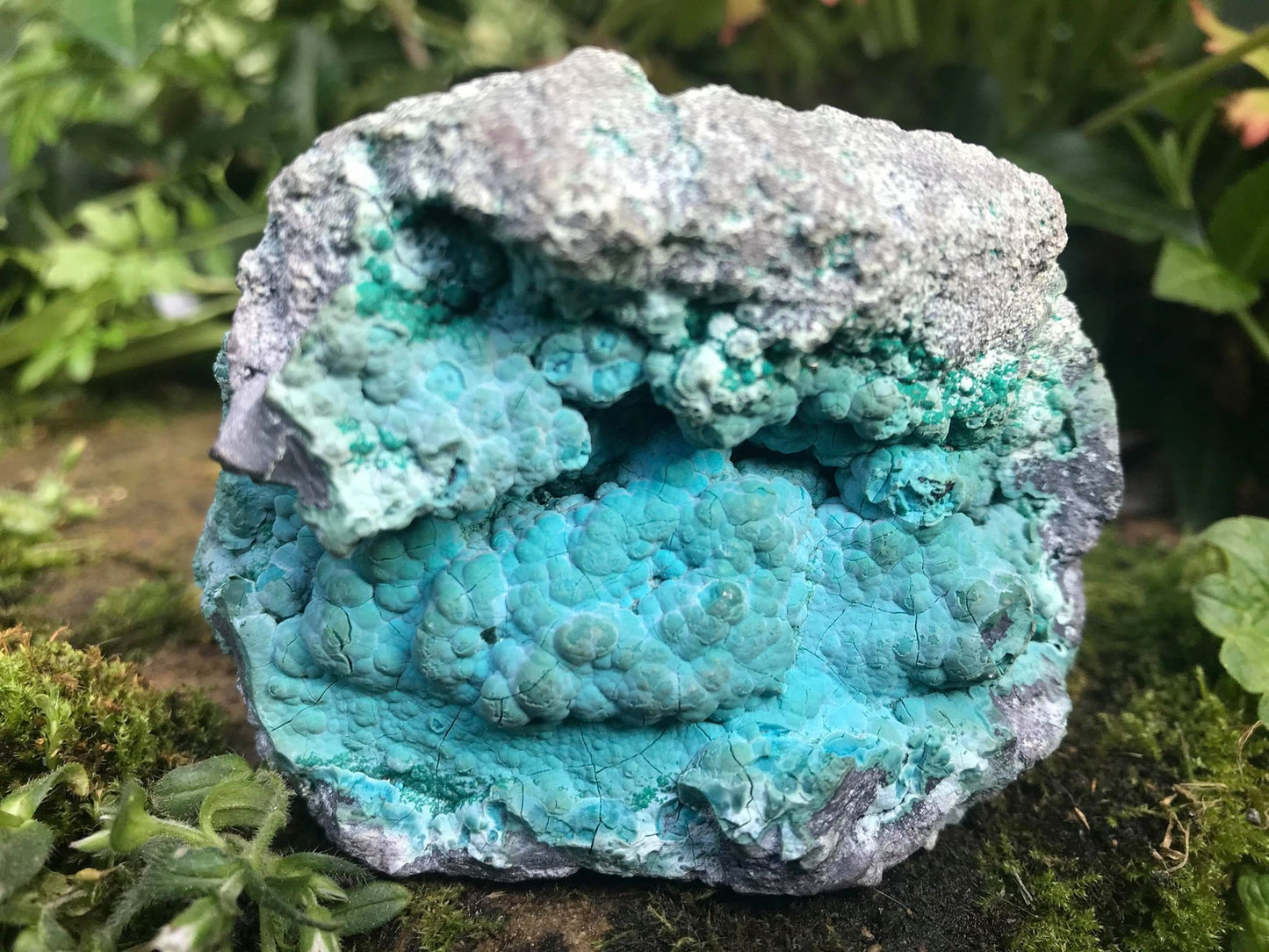 Chrysocolla Specimen - Gem Realm 