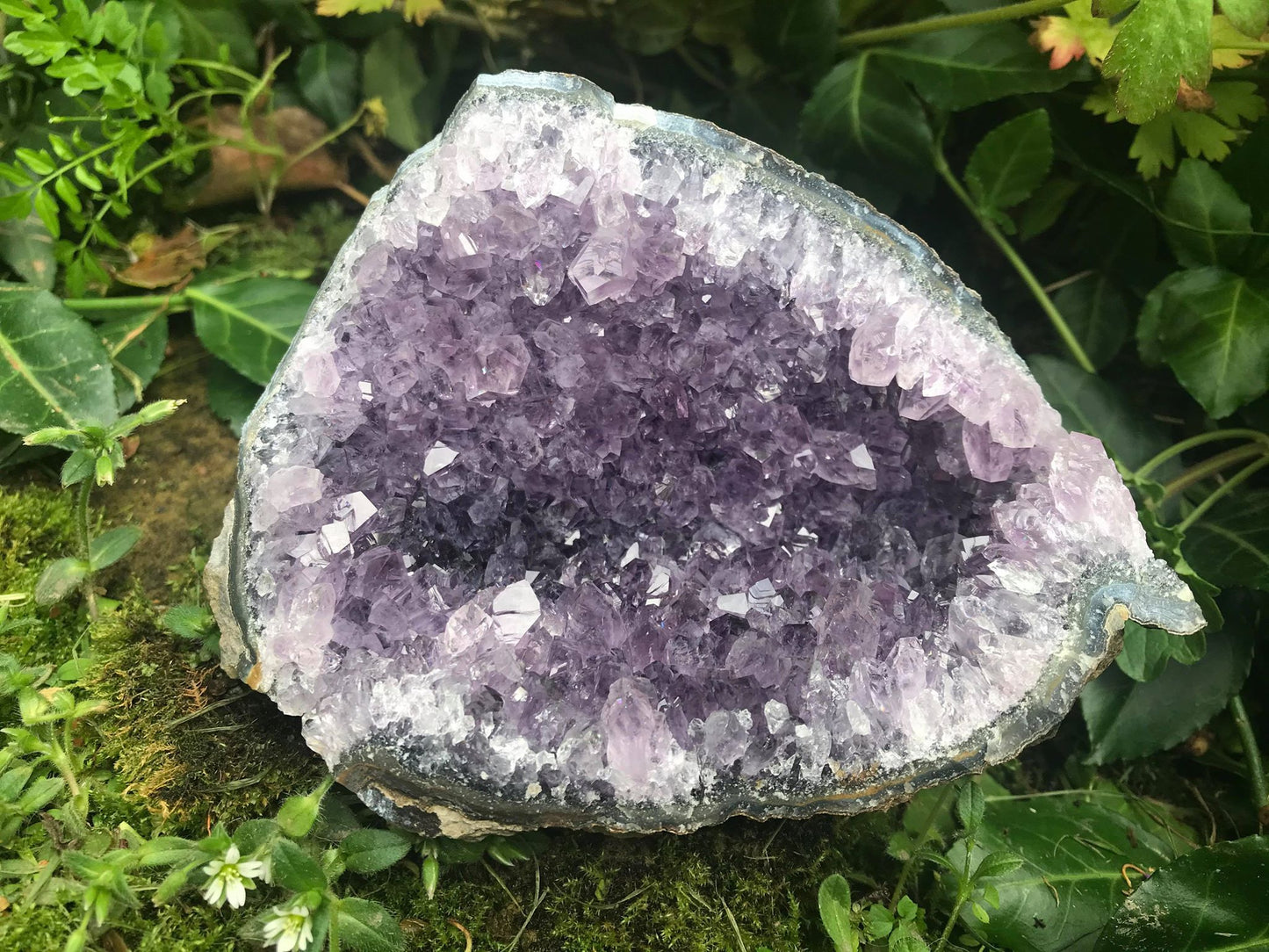 Amethyst Geode ~ Uruguay - Gem Realm 