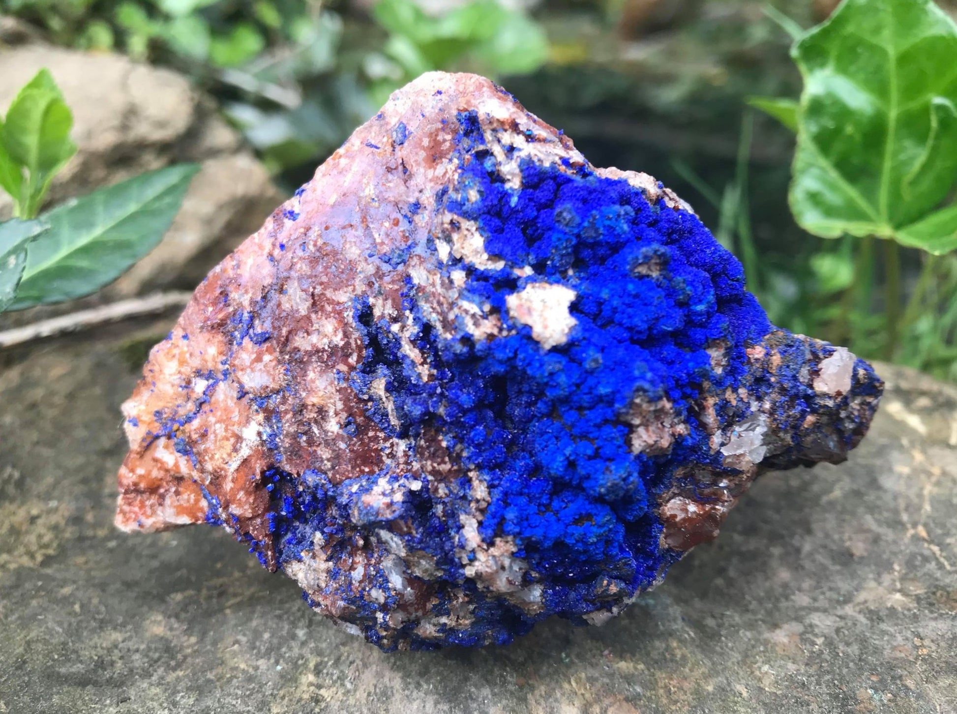 Azurite Specimen - Gem Realm 