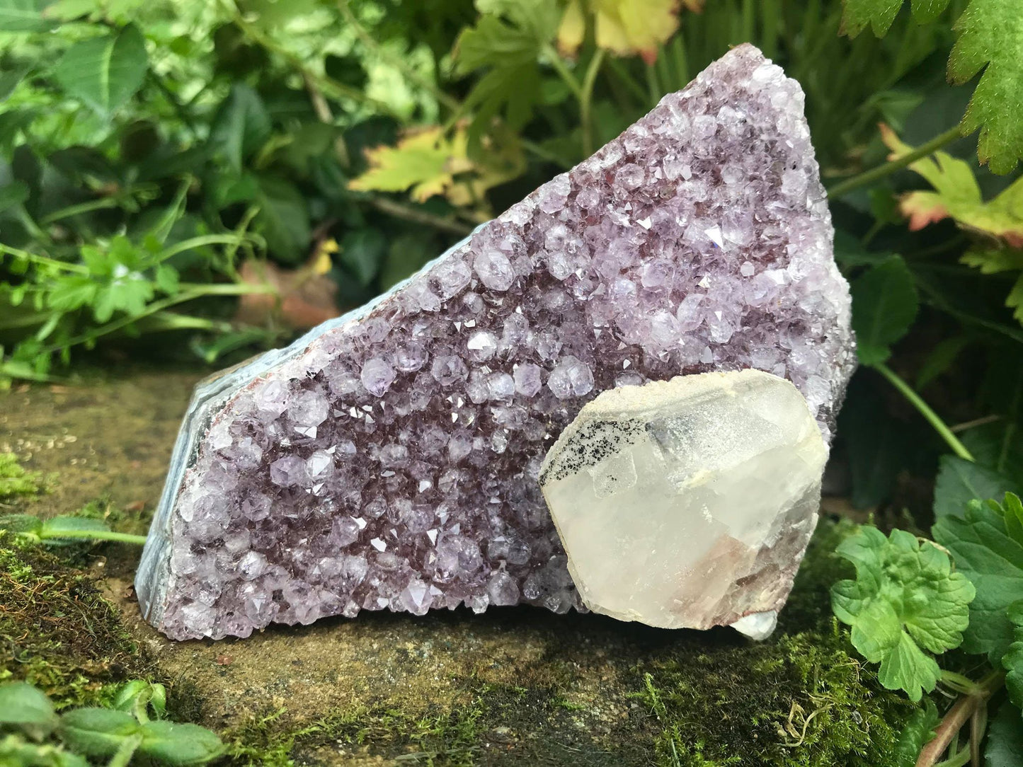 Amethyst with Calcite Specimen ~ Uruguay - Gem Realm 