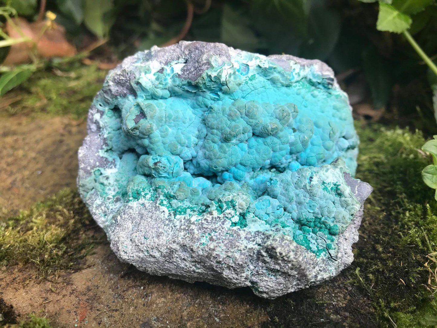 Chrysocolla Specimen - Gem Realm 