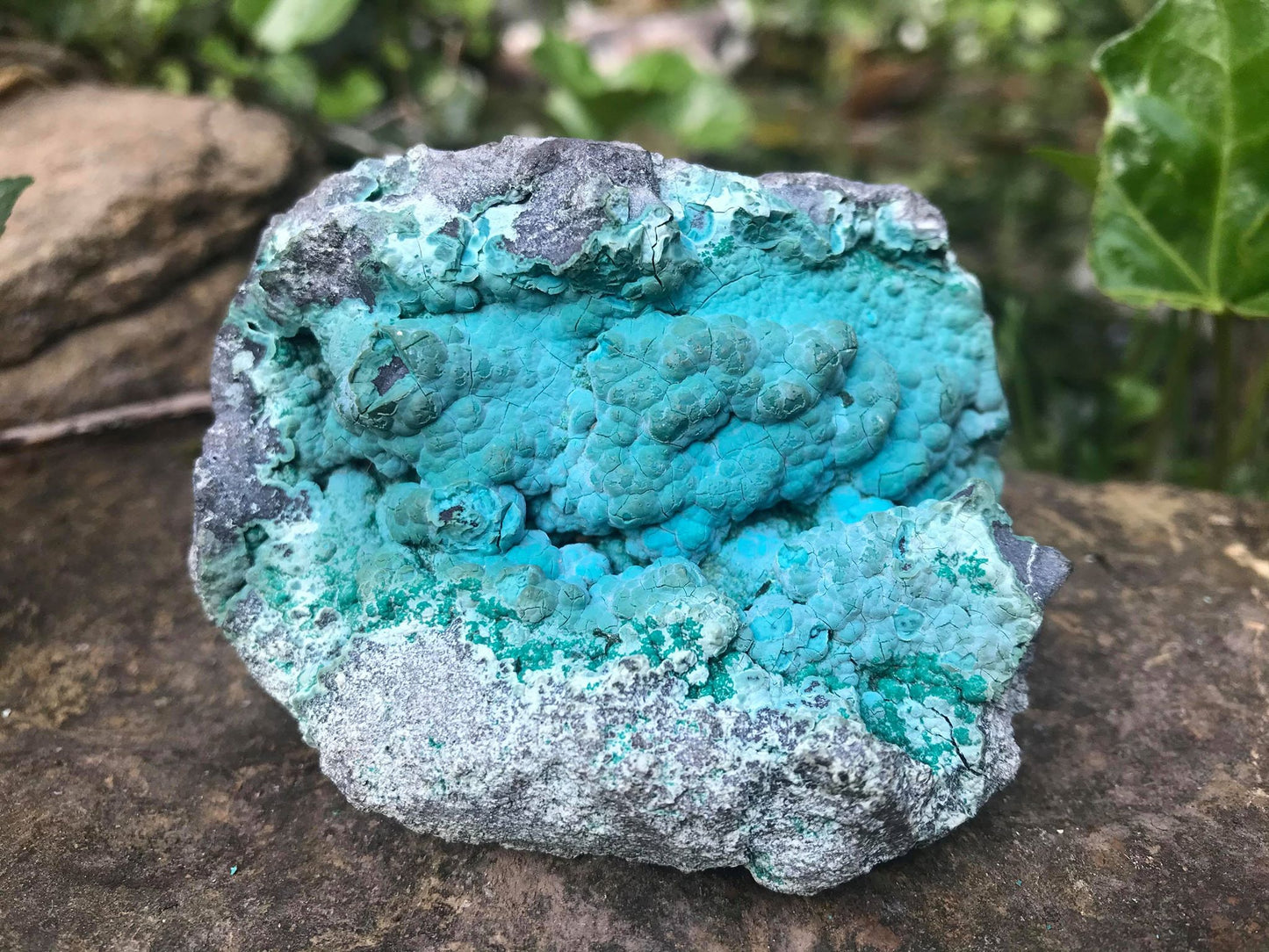 Chrysocolla Specimen - Gem Realm 