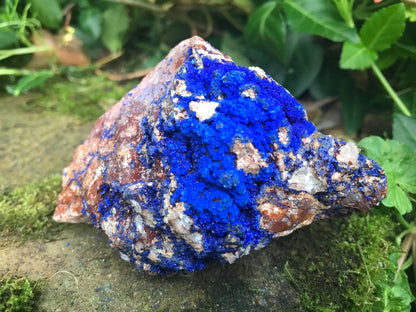 Azurite Specimen - Gem Realm 
