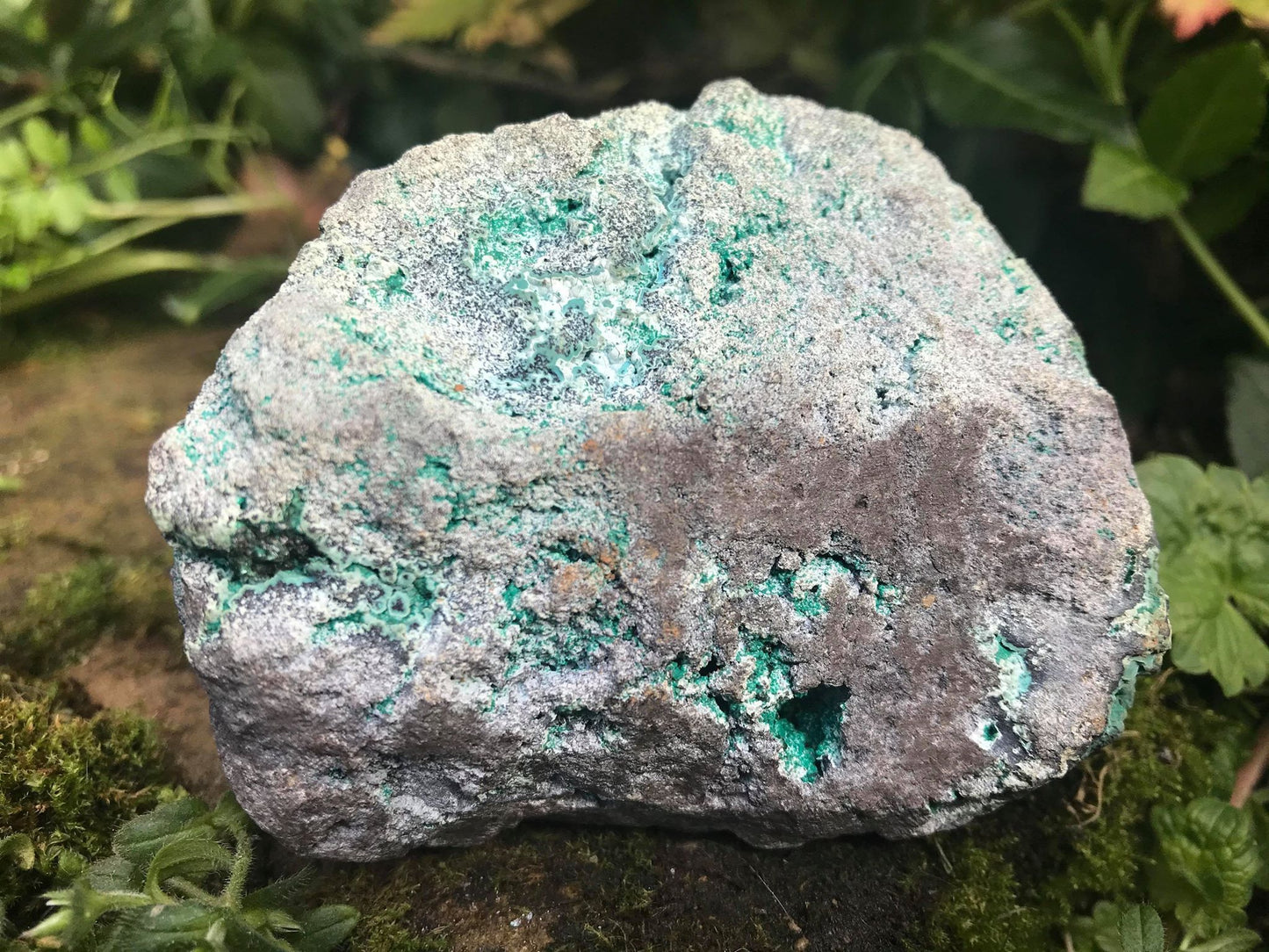 Chrysocolla Specimen - Gem Realm 