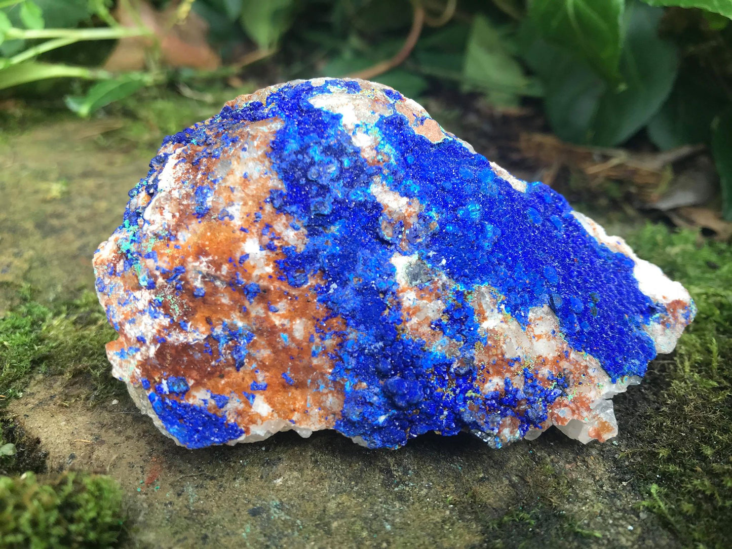 Azurite Specimen - Gem Realm 