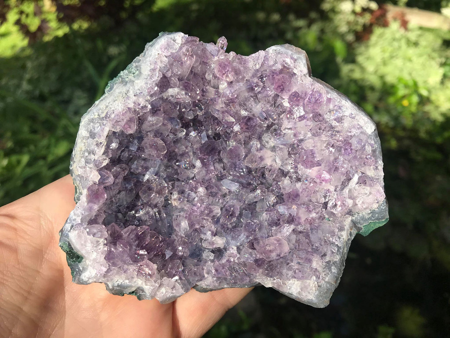 Amethyst Geode Specimen ~ Uruguay - Gem Realm 