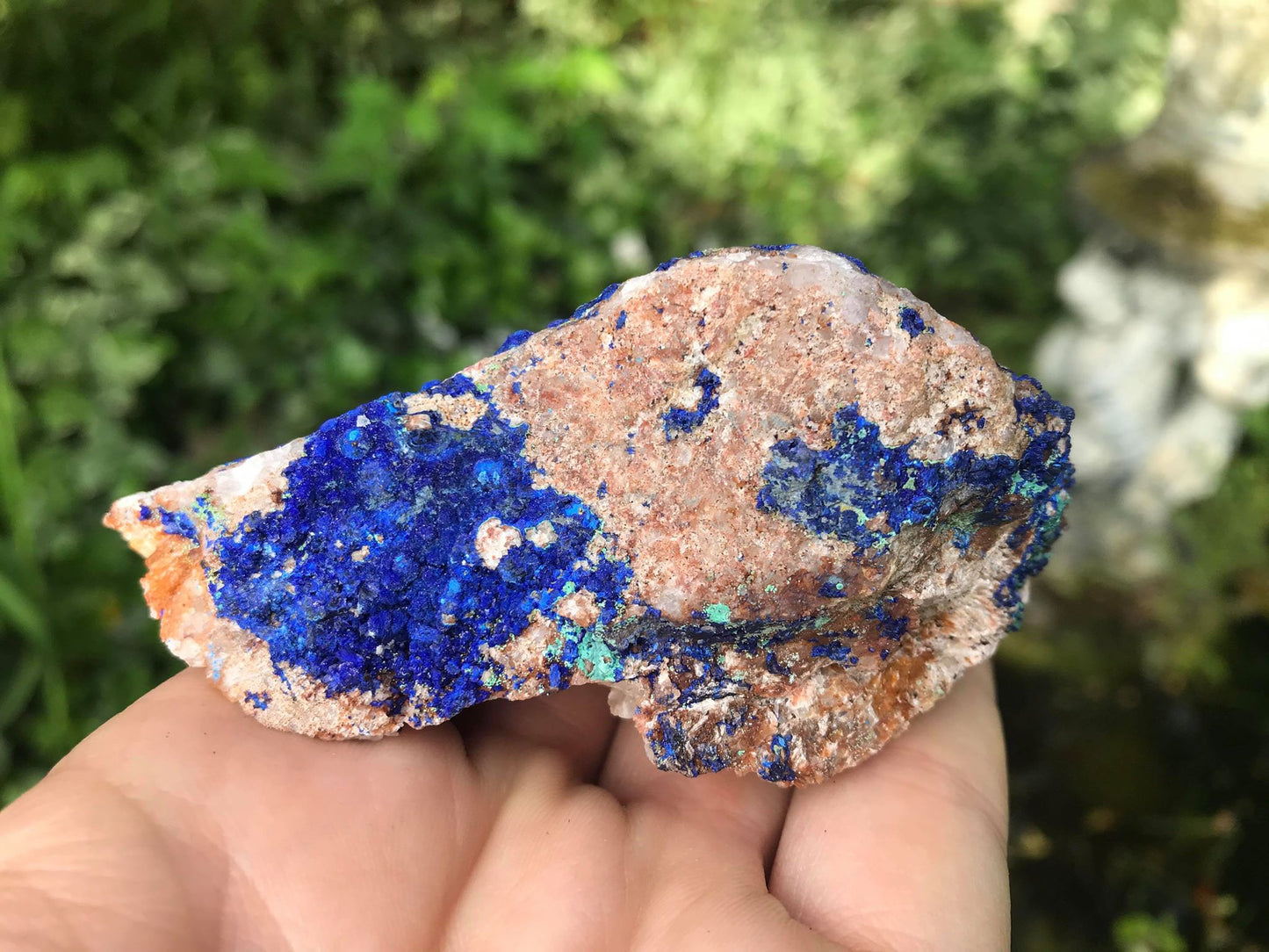 Azurite Specimen - Gem Realm 