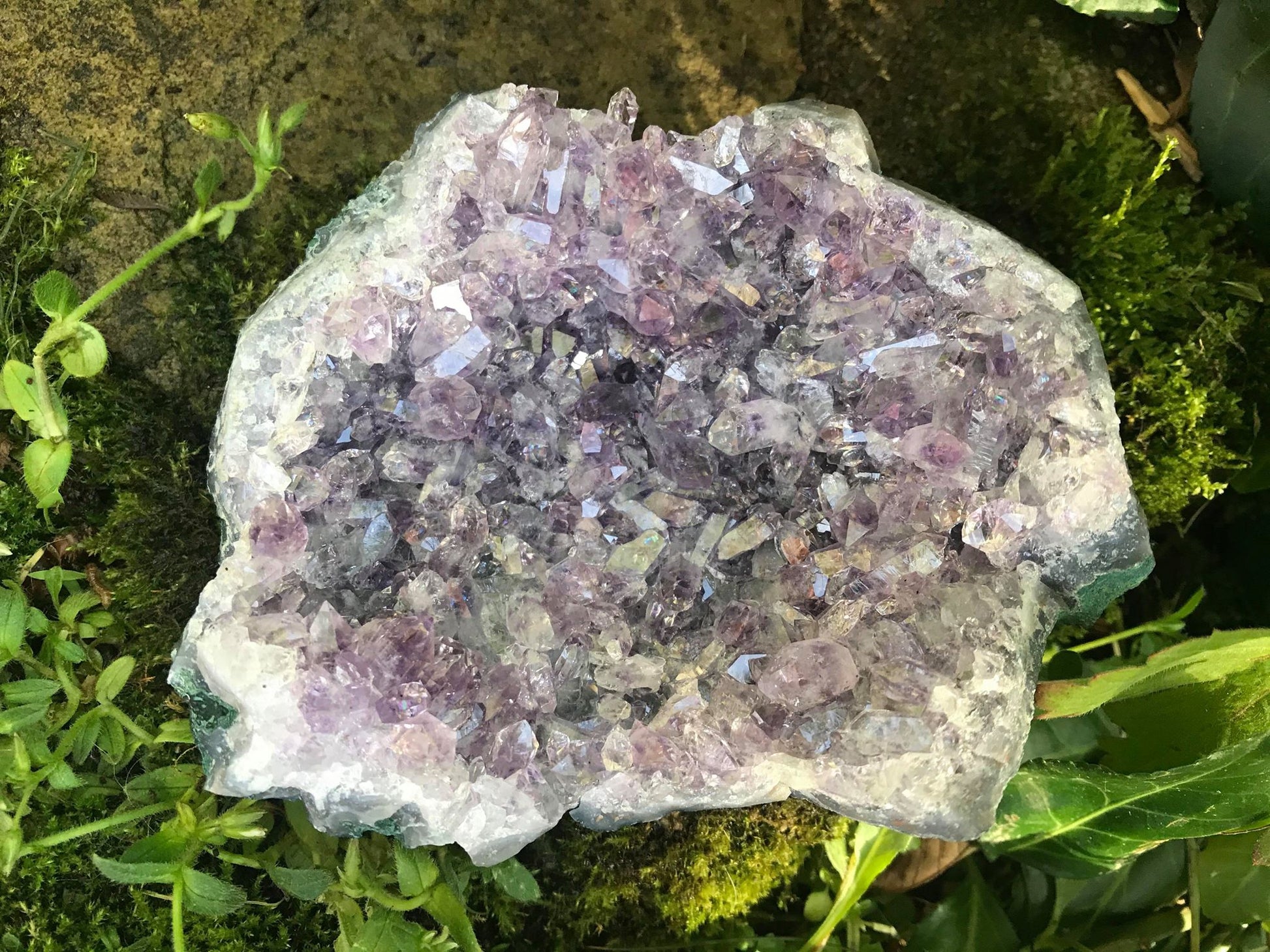 Amethyst Geode Specimen ~ Uruguay - Gem Realm 