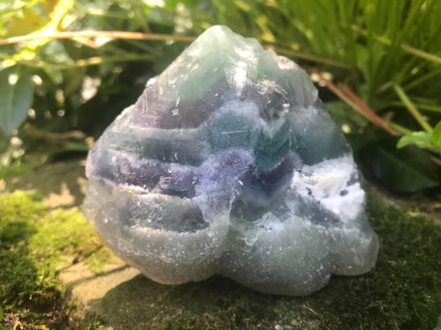 Rainbow Fluorite Specimen - Gem Realm 