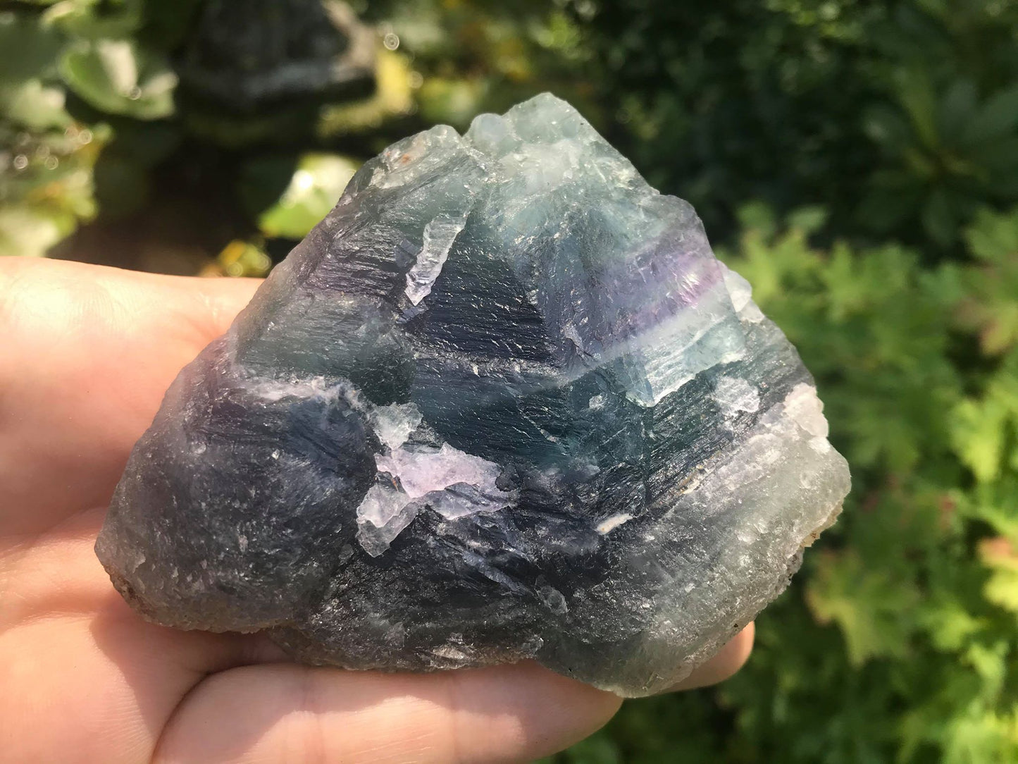 Rainbow Fluorite Specimen - Gem Realm 