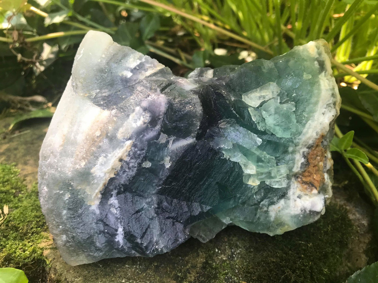 Rainbow Fluorite Specimen - Gem Realm 