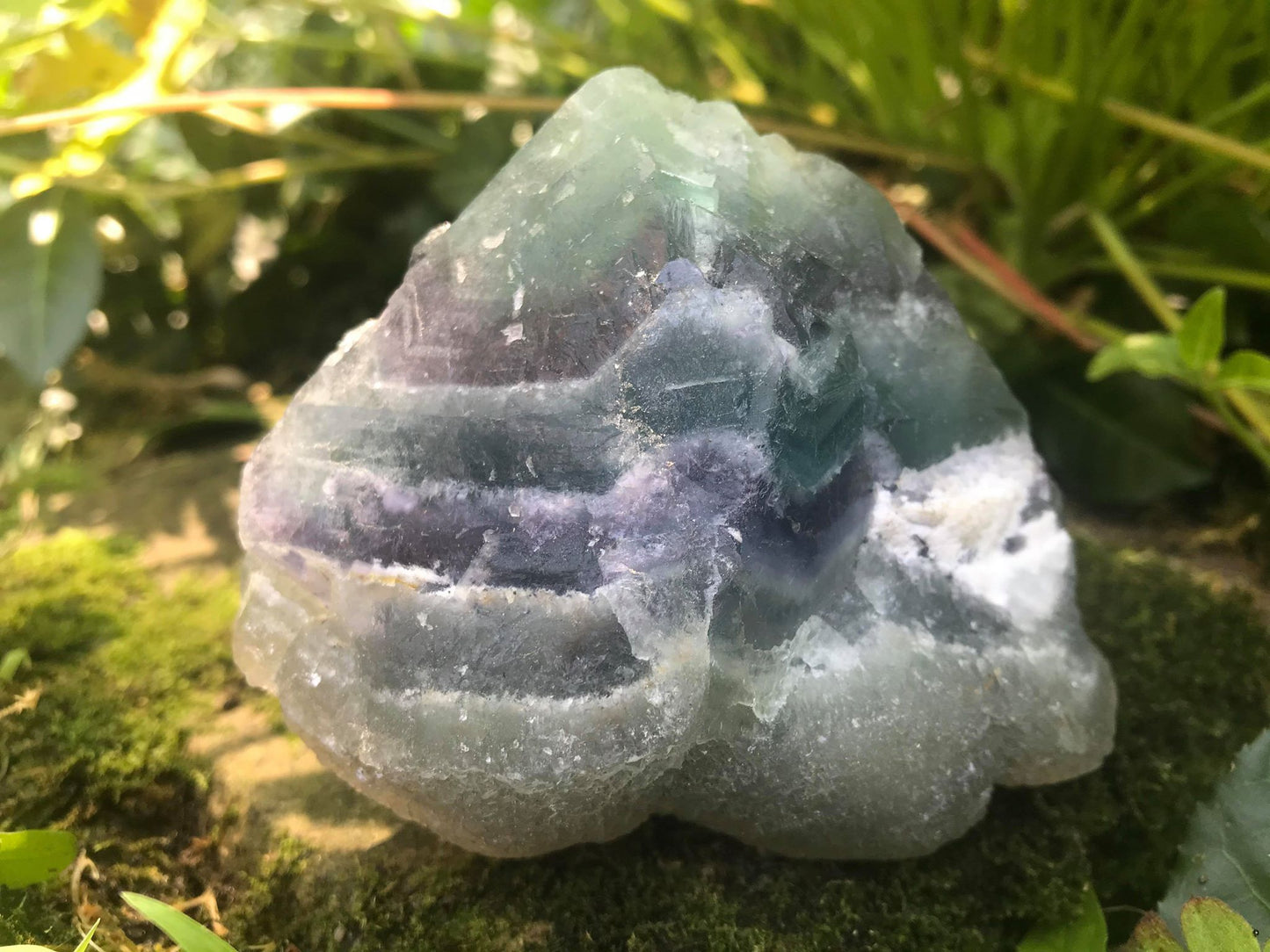 Rainbow Fluorite Specimen - Gem Realm 