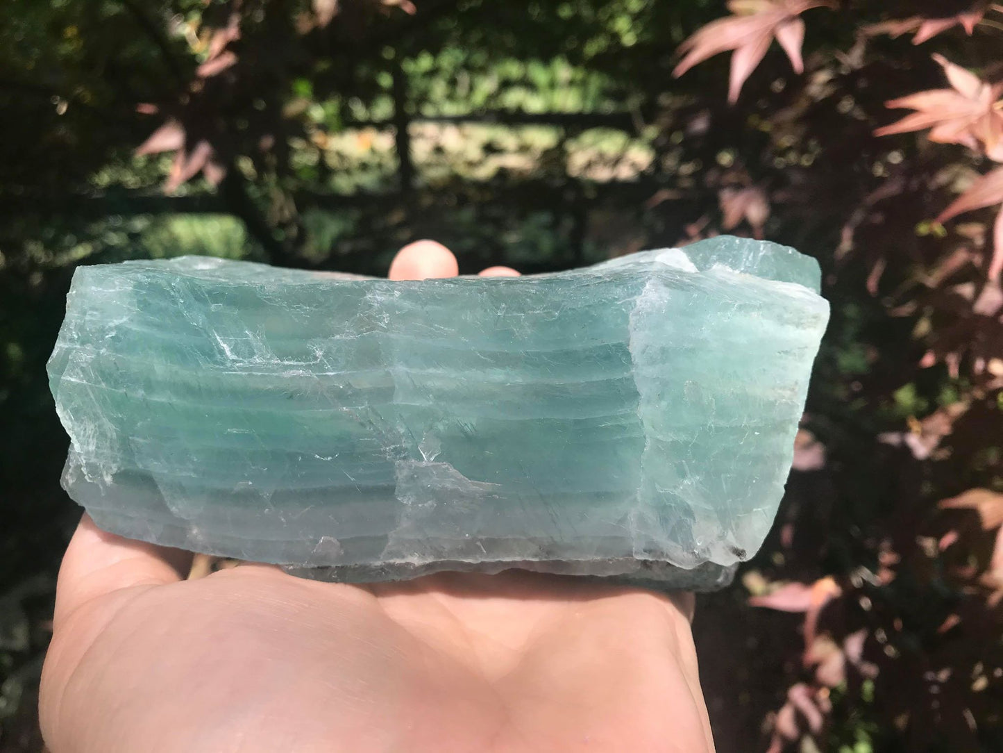 Green Fluorite Specimen - Gem Realm 