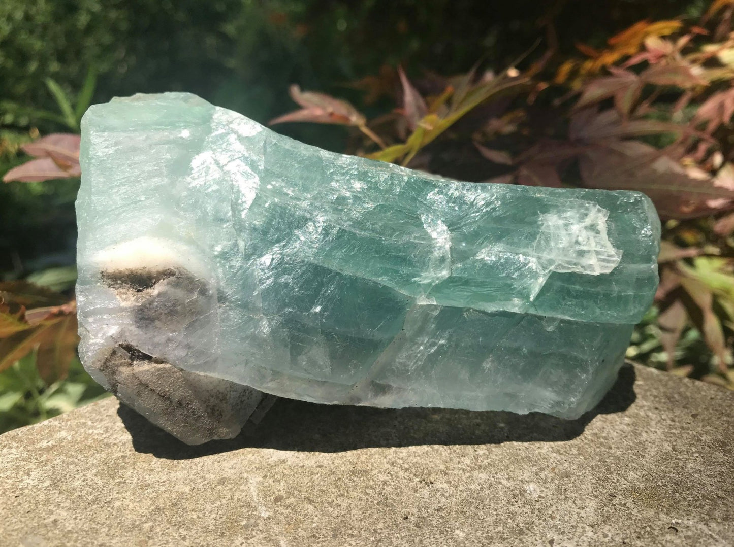 Green Fluorite Specimen - Gem Realm 