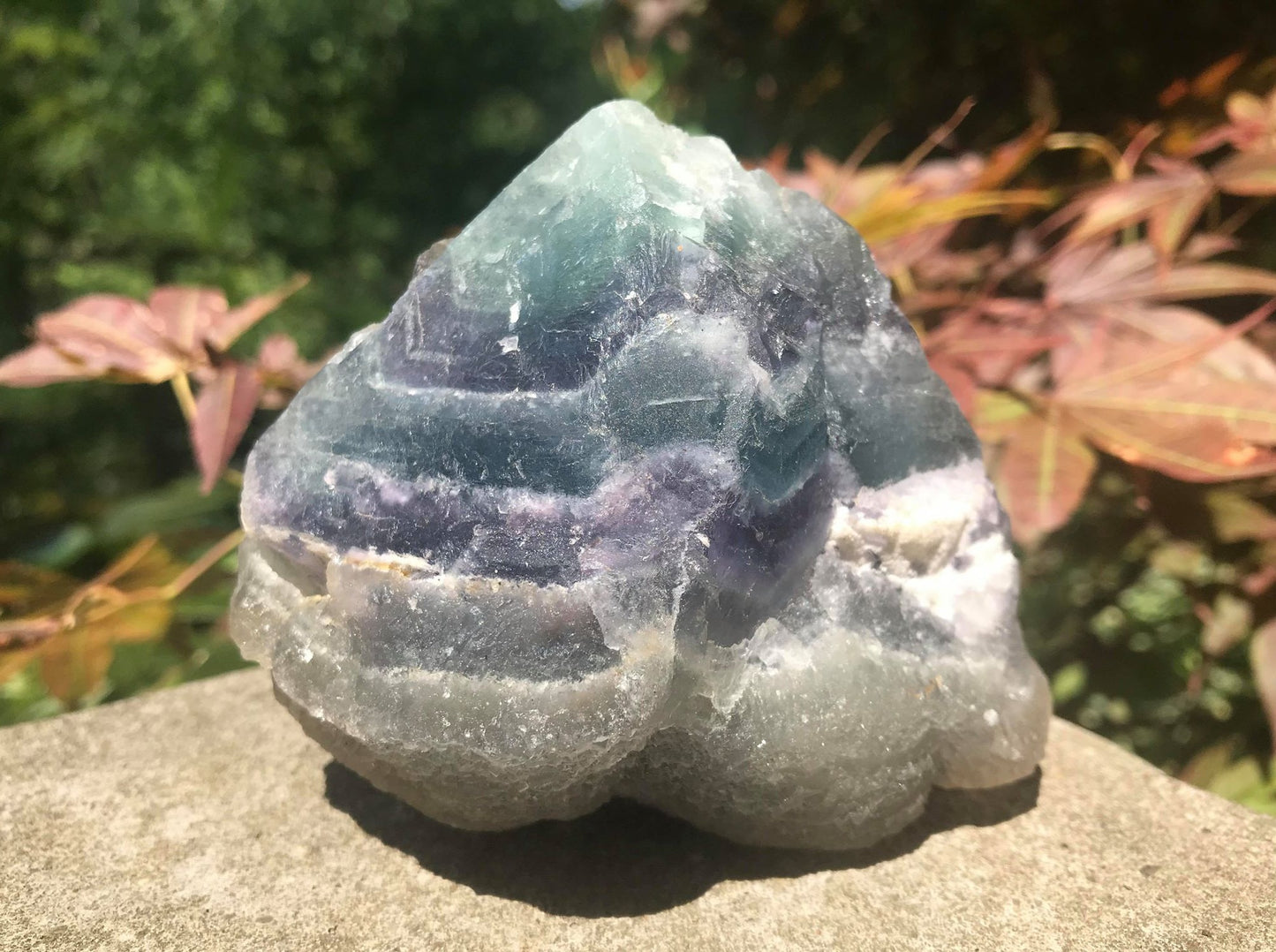 Rainbow Fluorite Specimen - Gem Realm 