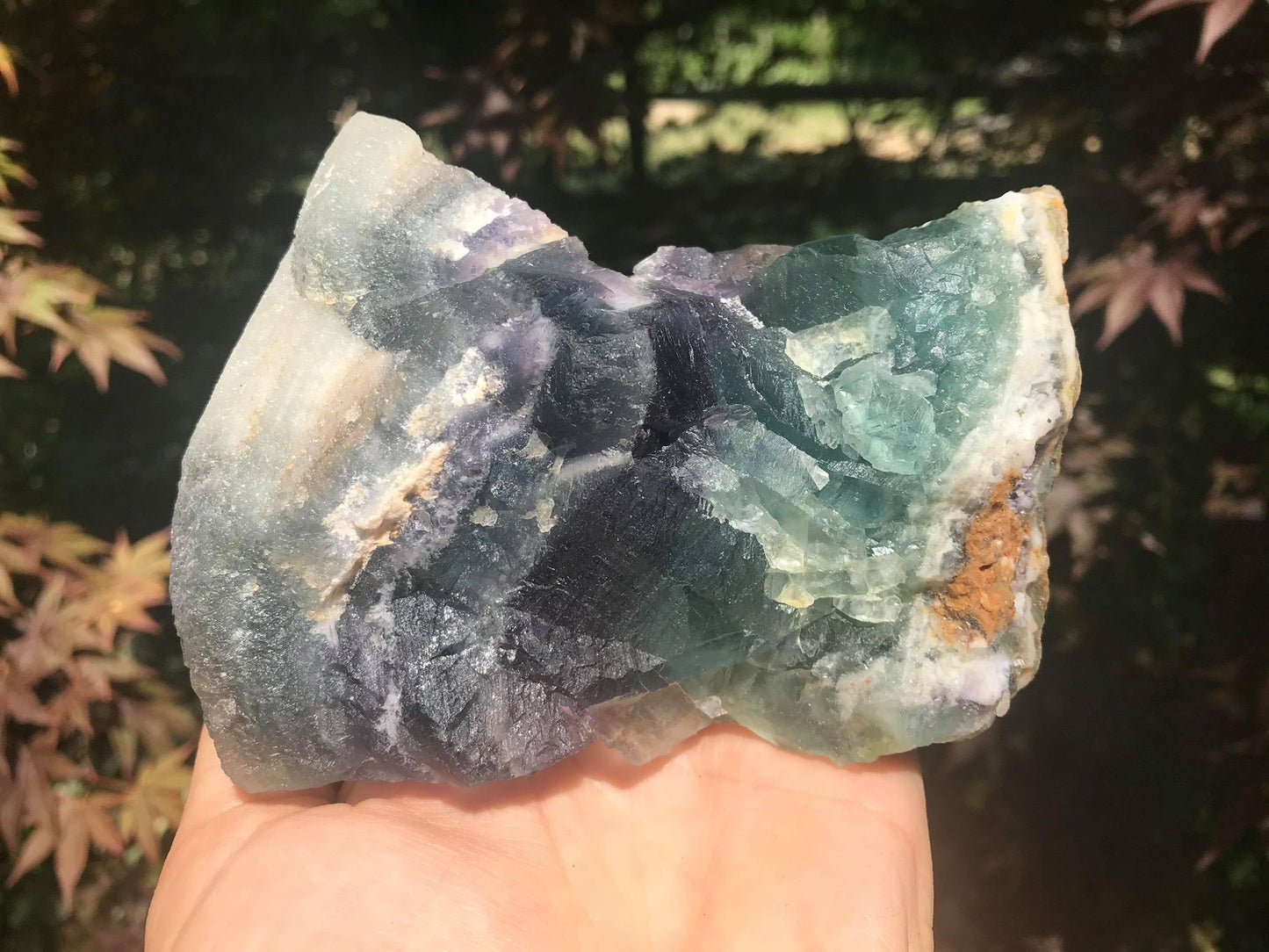 Rainbow Fluorite Specimen - Gem Realm 