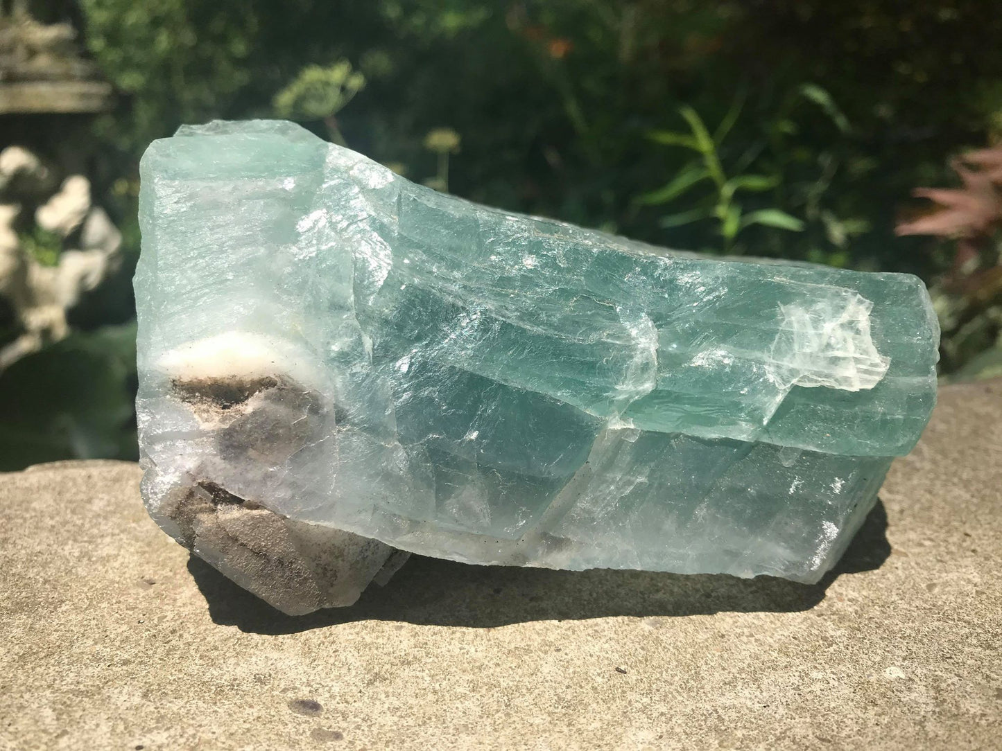 Green Fluorite Specimen - Gem Realm 