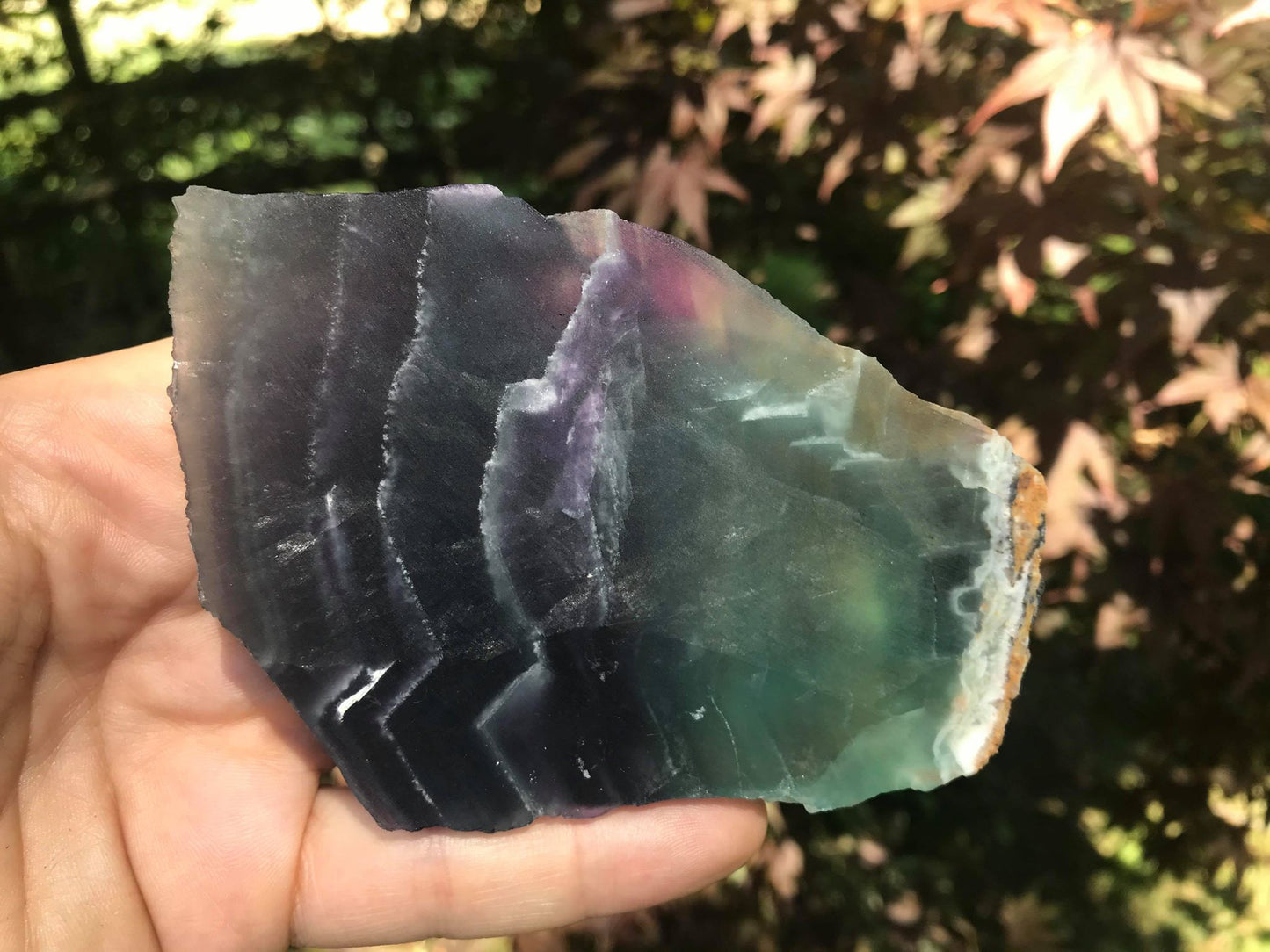 Rainbow Fluorite Slice - Gem Realm 