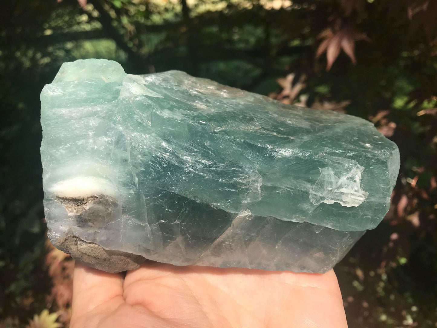 Green Fluorite Specimen - Gem Realm 