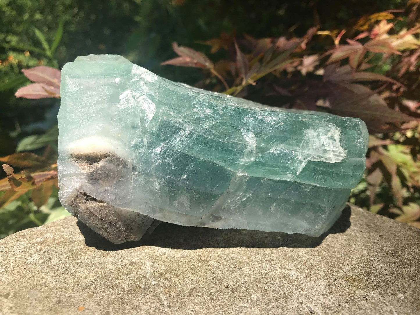 Green Fluorite Specimen - Gem Realm 