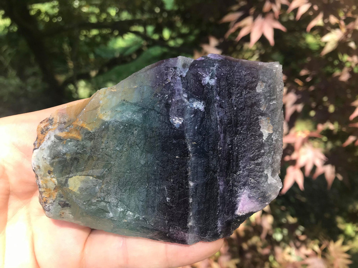 Rainbow Fluorite Slice - Gem Realm 