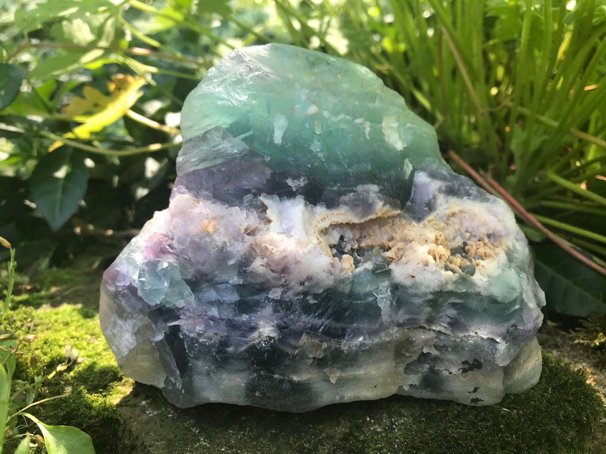 Rainbow Fluorite Specimen - Gem Realm 