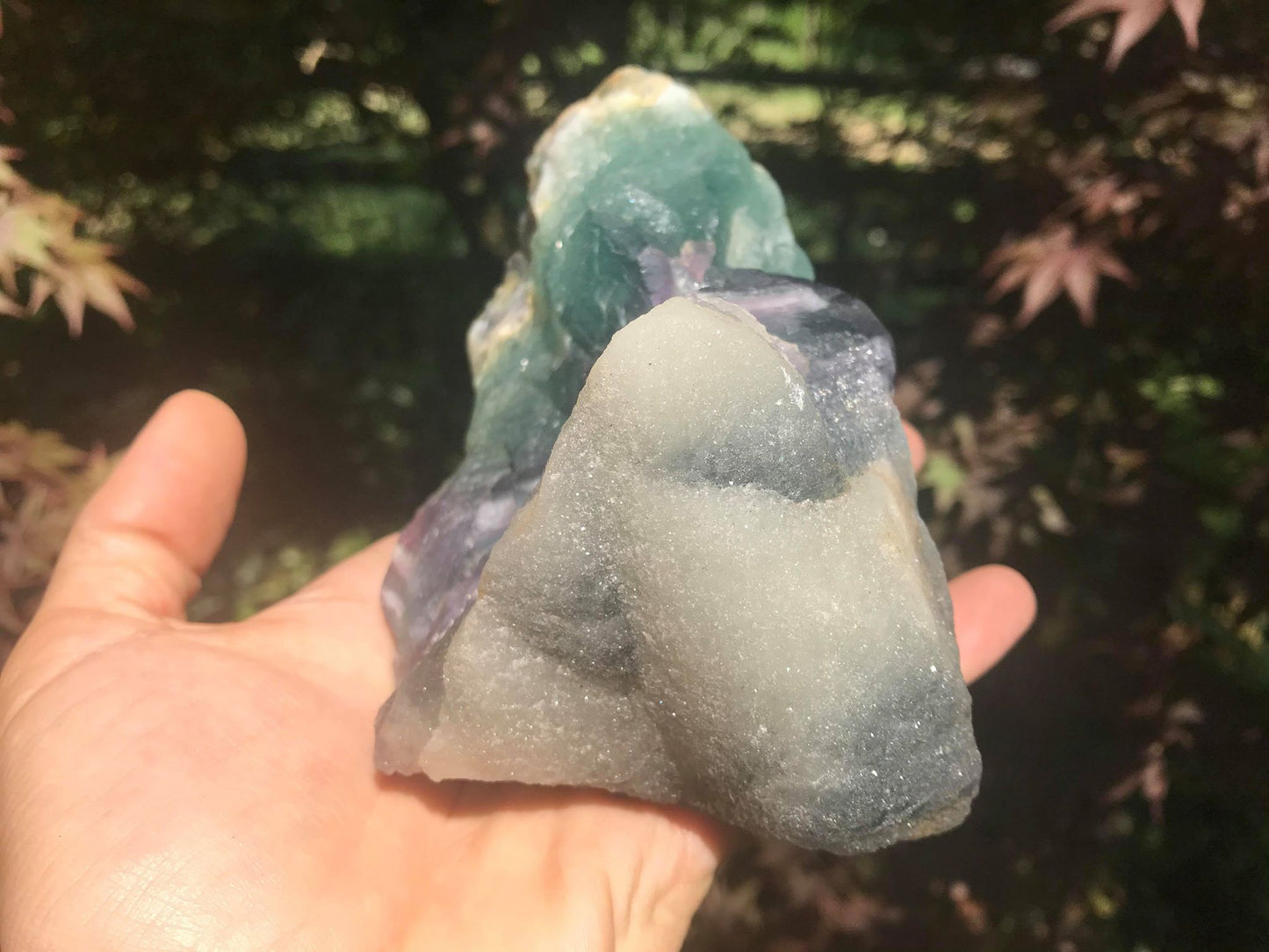 Rainbow Fluorite Specimen - Gem Realm 