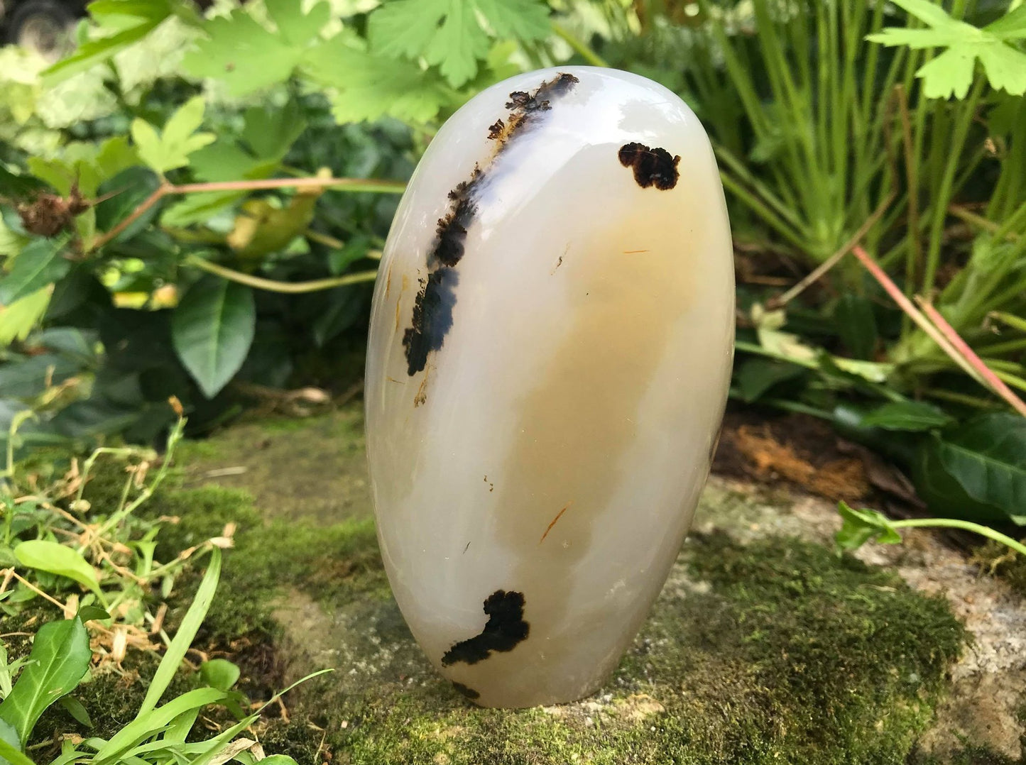 Dendritic Agate Freeform