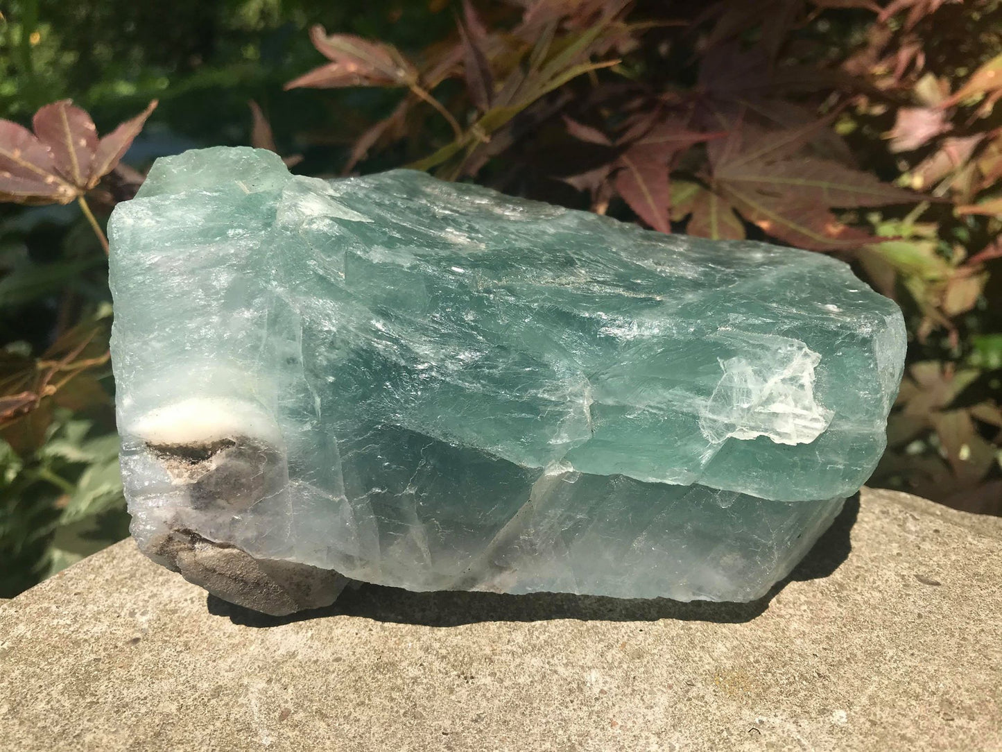 Green Fluorite Specimen - Gem Realm 