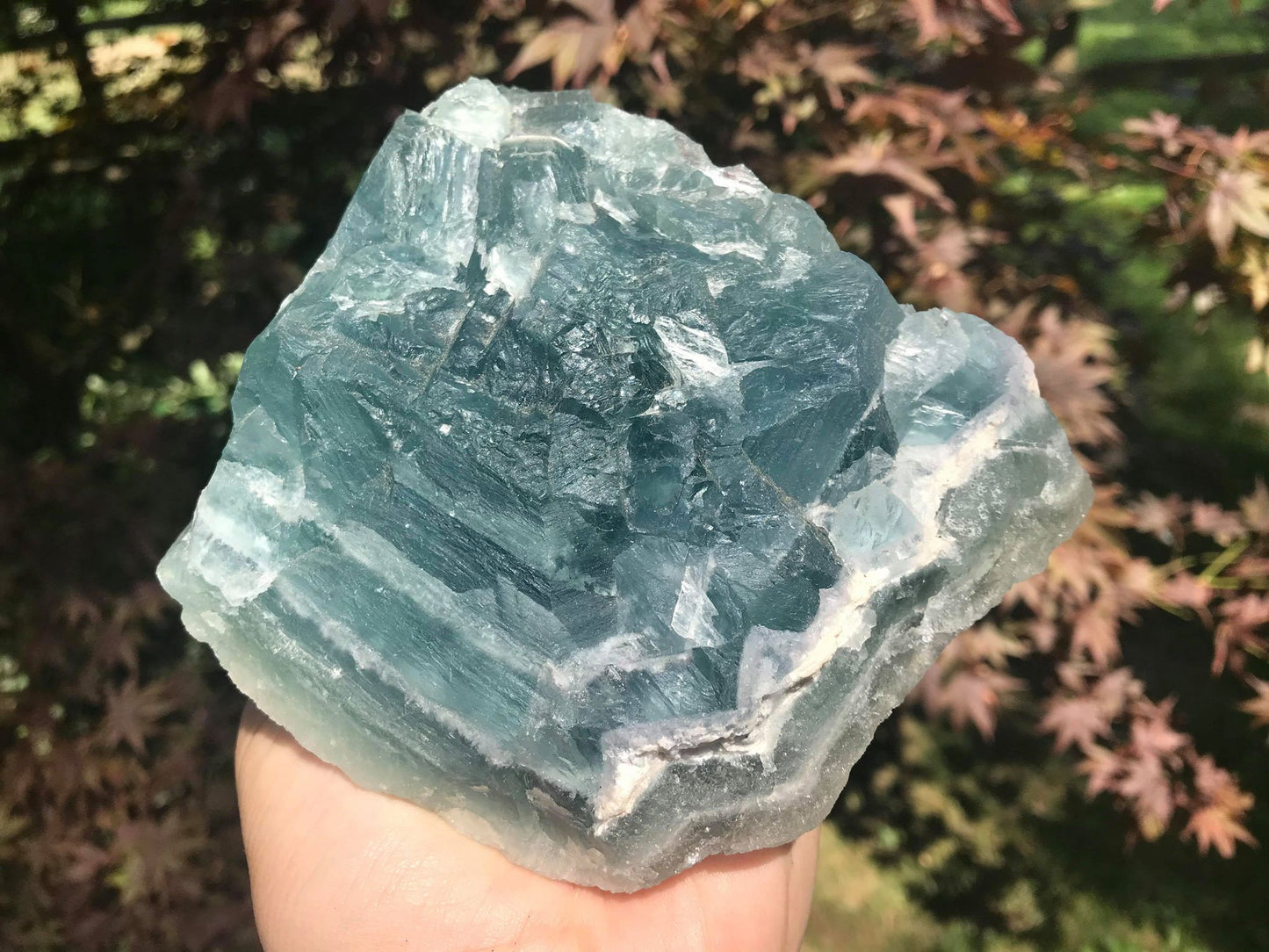 Green Fluorite Specimen - Gem Realm 