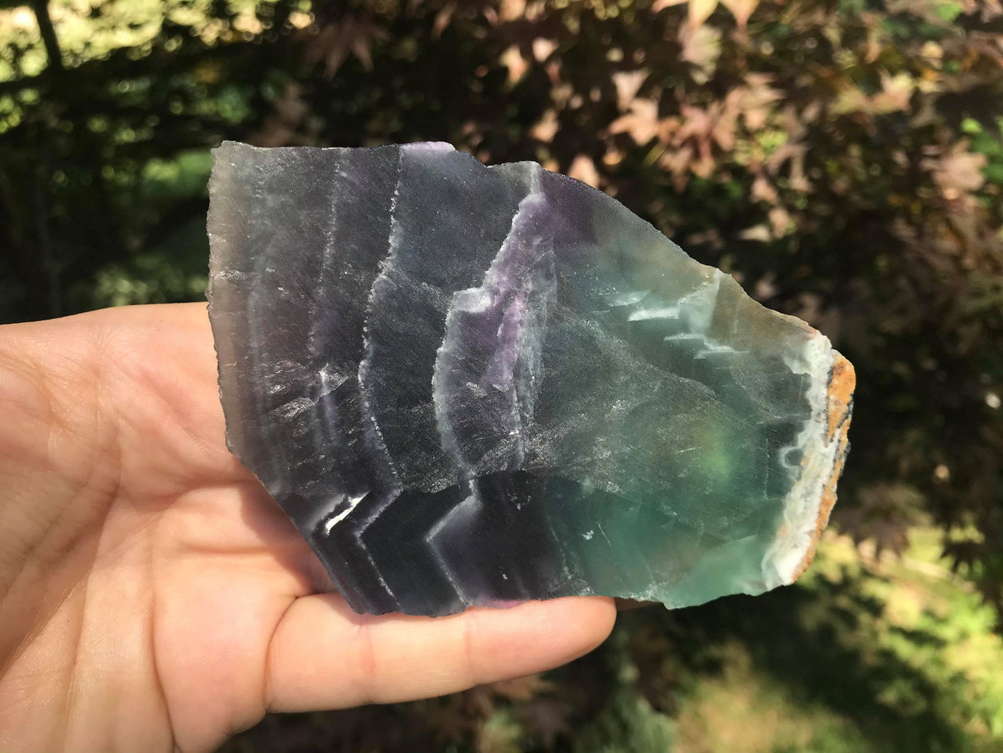 Rainbow Fluorite Slice - Gem Realm 