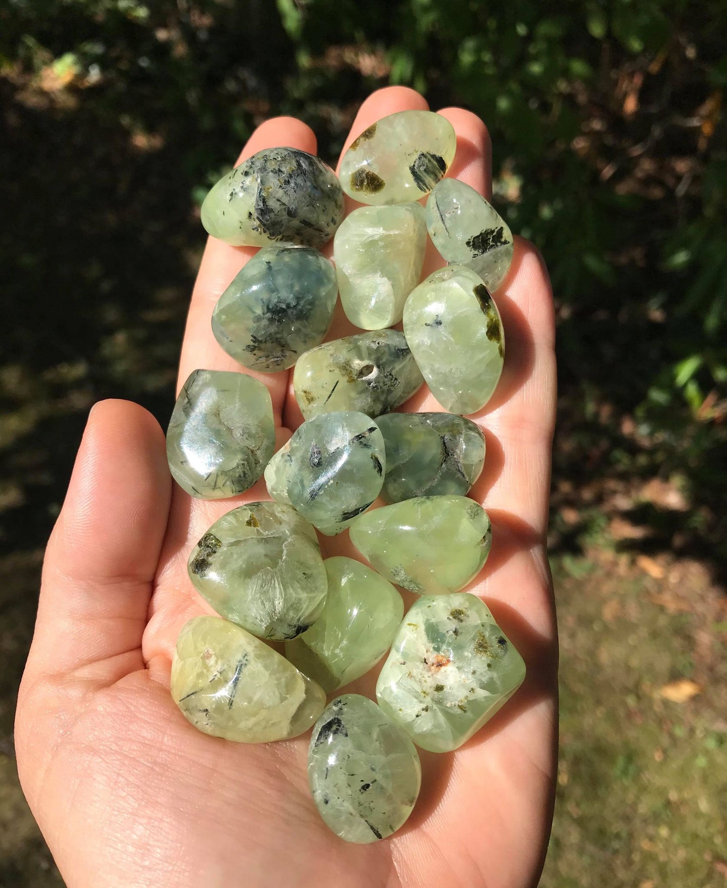 Prehnite Tumbled Stones