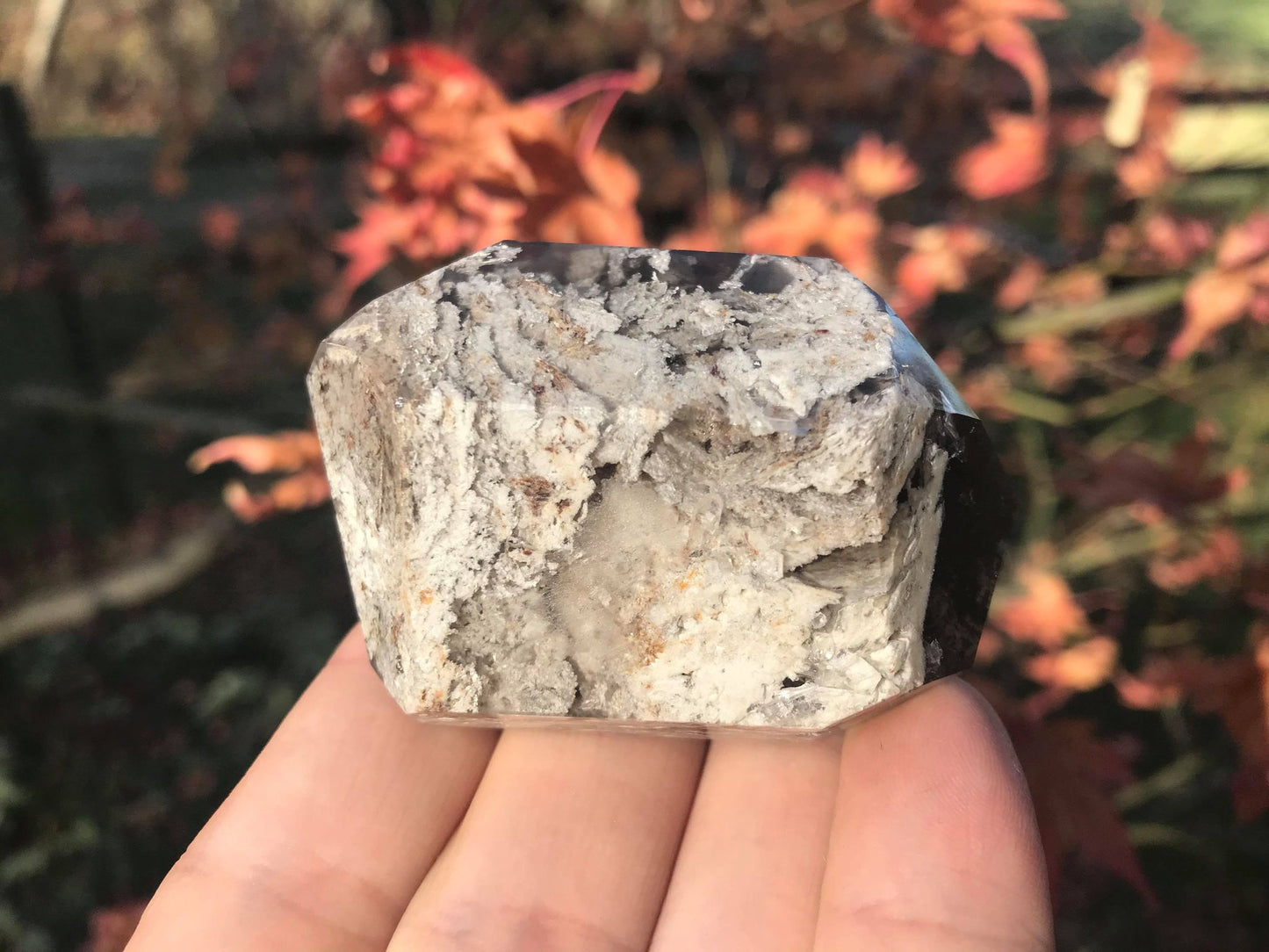 Garden Quartz Quartz Double Terminated Freeform Point