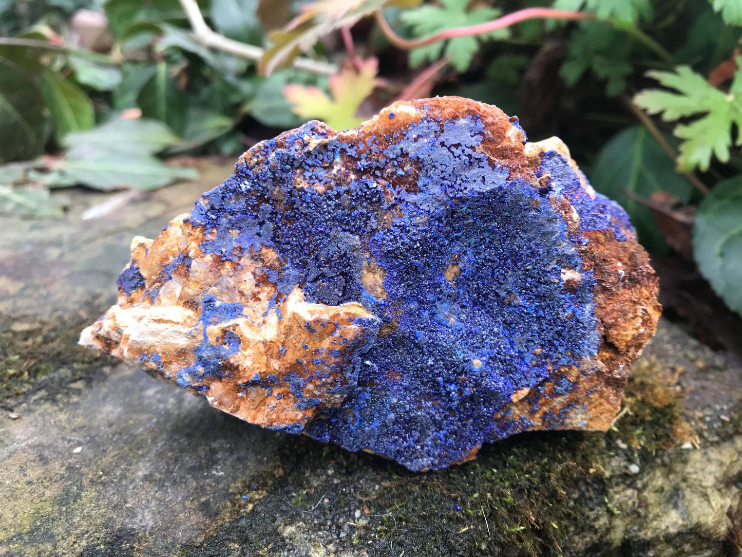 Azurite Specimen