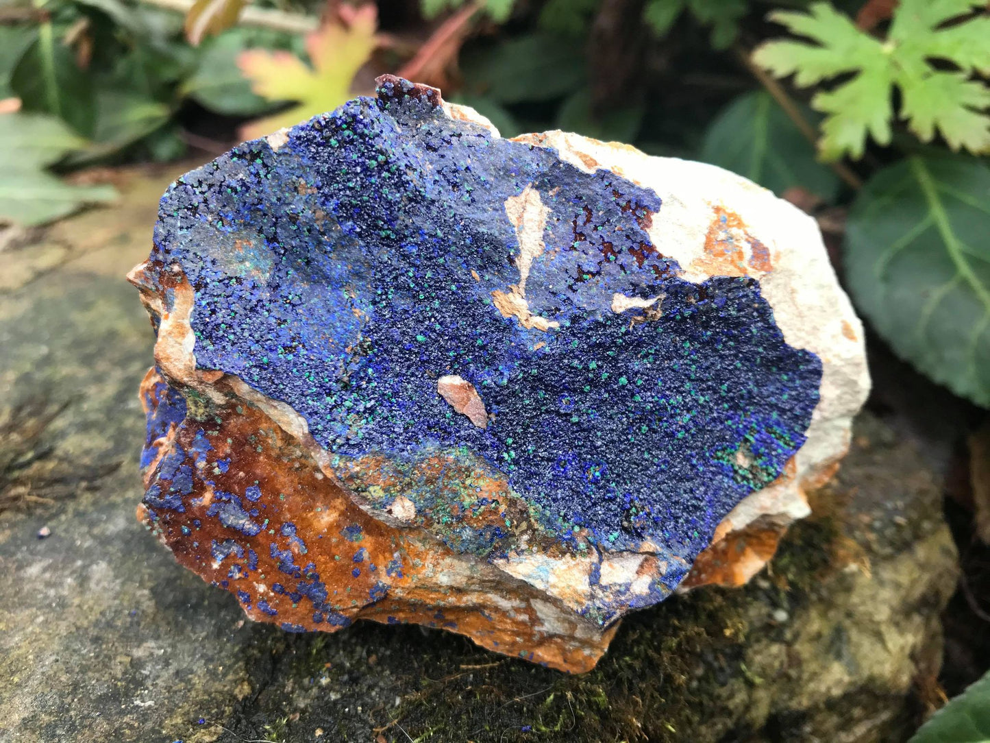 Azurite Specimen