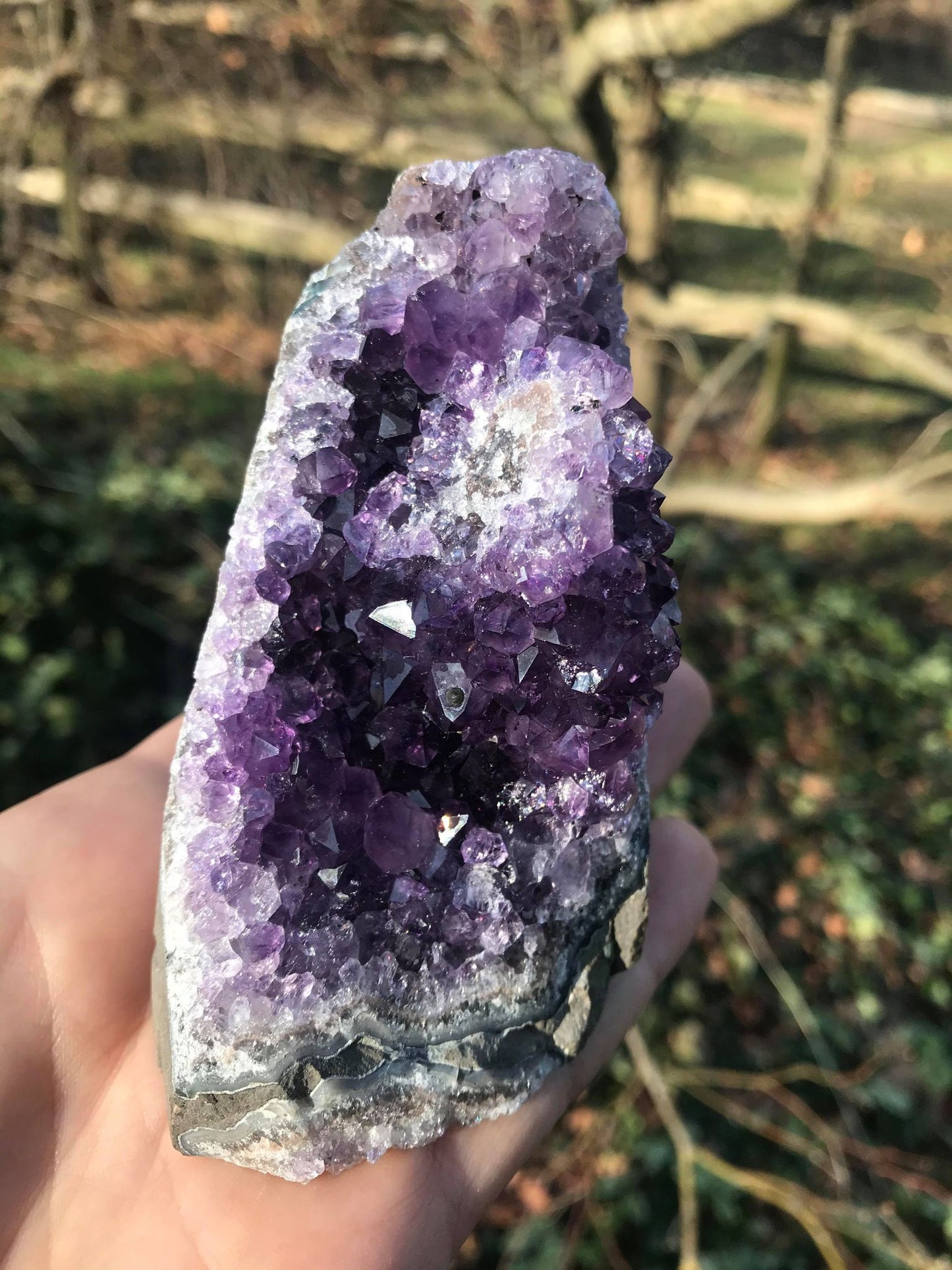 Amethyst Stalactite ~ Cut Base