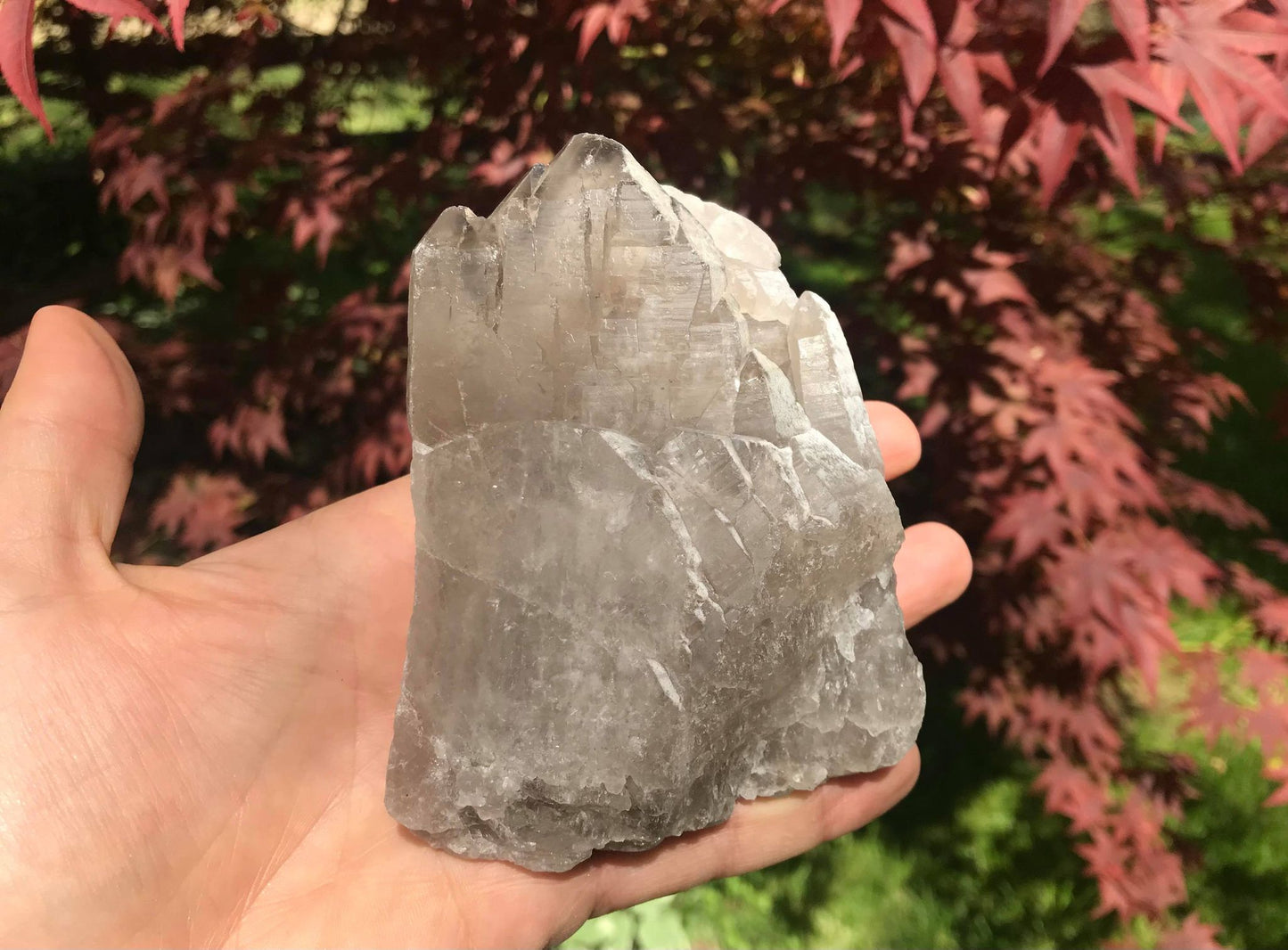 Smoky Elestial Quartz Crystal Specimen ~ Large