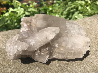 Smoky Elestial Quartz Crystal Specimen ~ Large