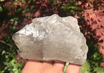 Smoky Elestial Quartz Crystal Specimen ~ Large