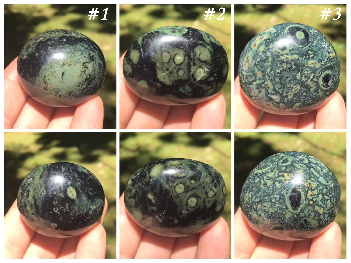 Kambaba Jasper Palm Stones - Gem Realm 